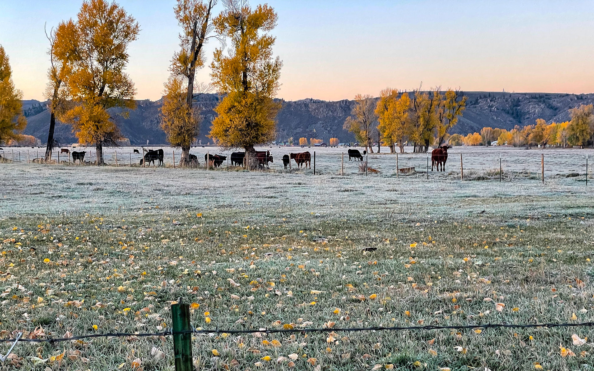 Early morning in Gunnison