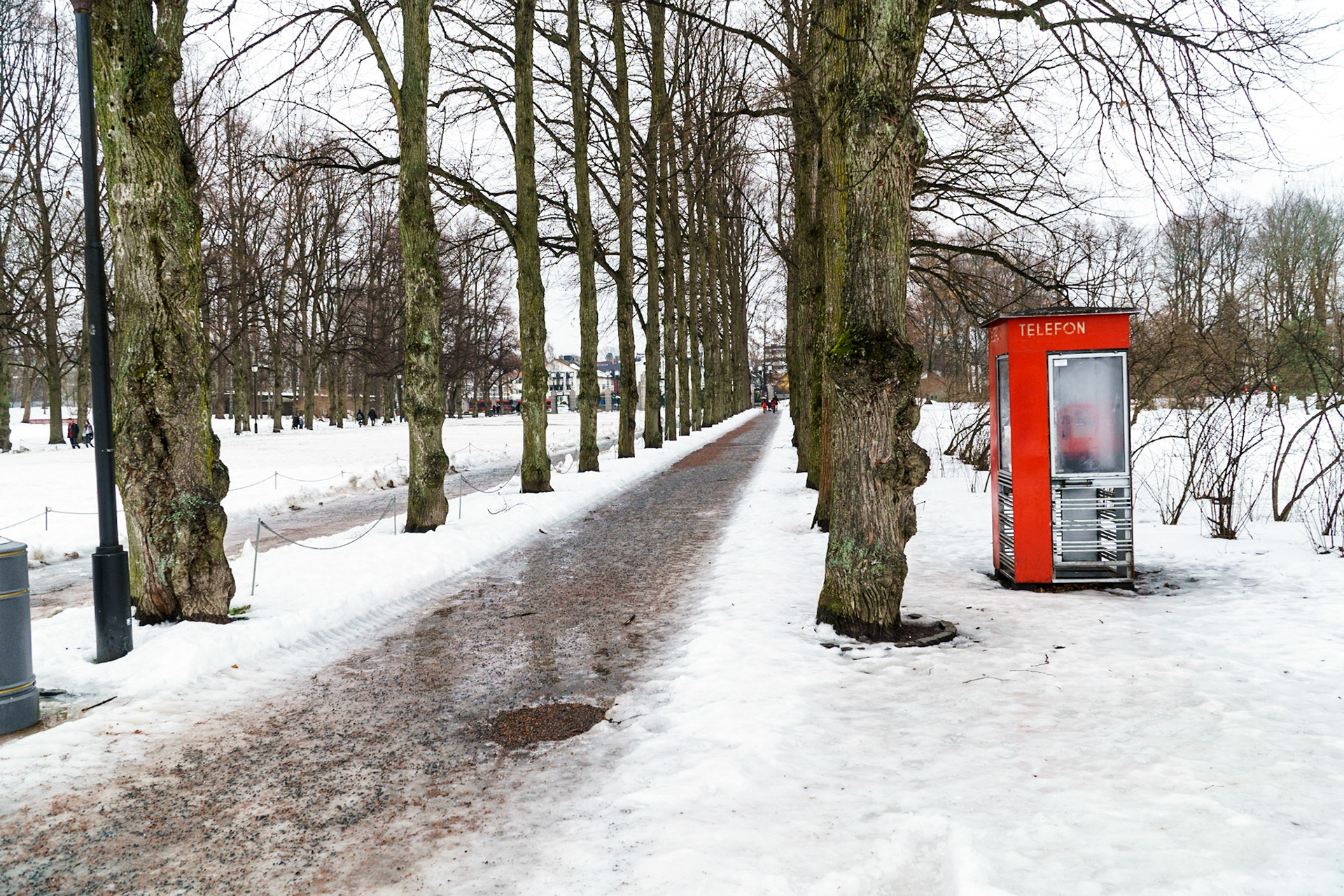 Tardis at Vigeland Sculpture Park