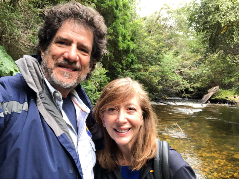 Patagonia rain forest