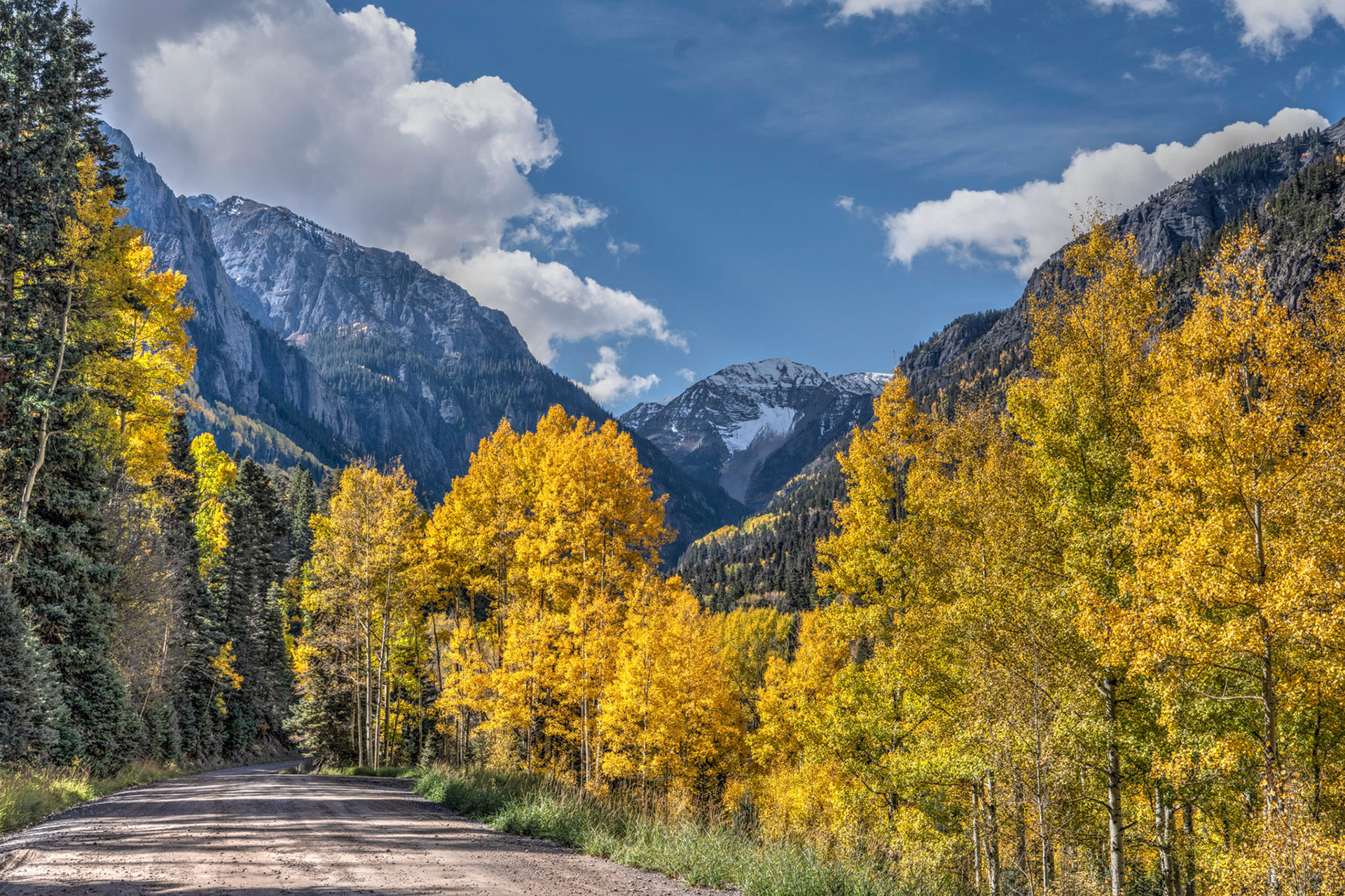 Aspens changing