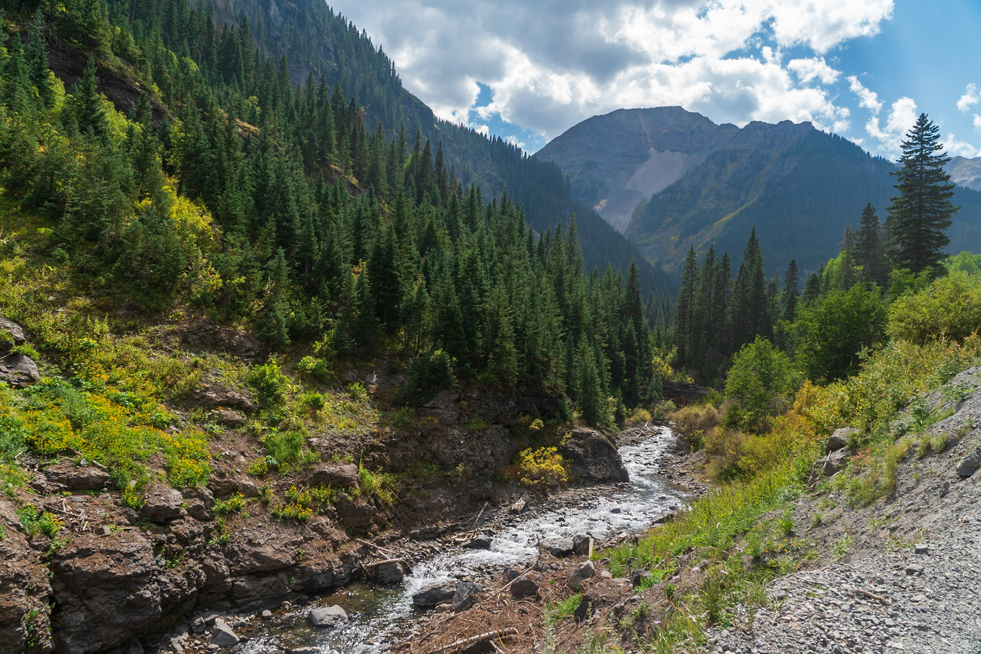 Sneffels Creek, near Yankee Boy Road