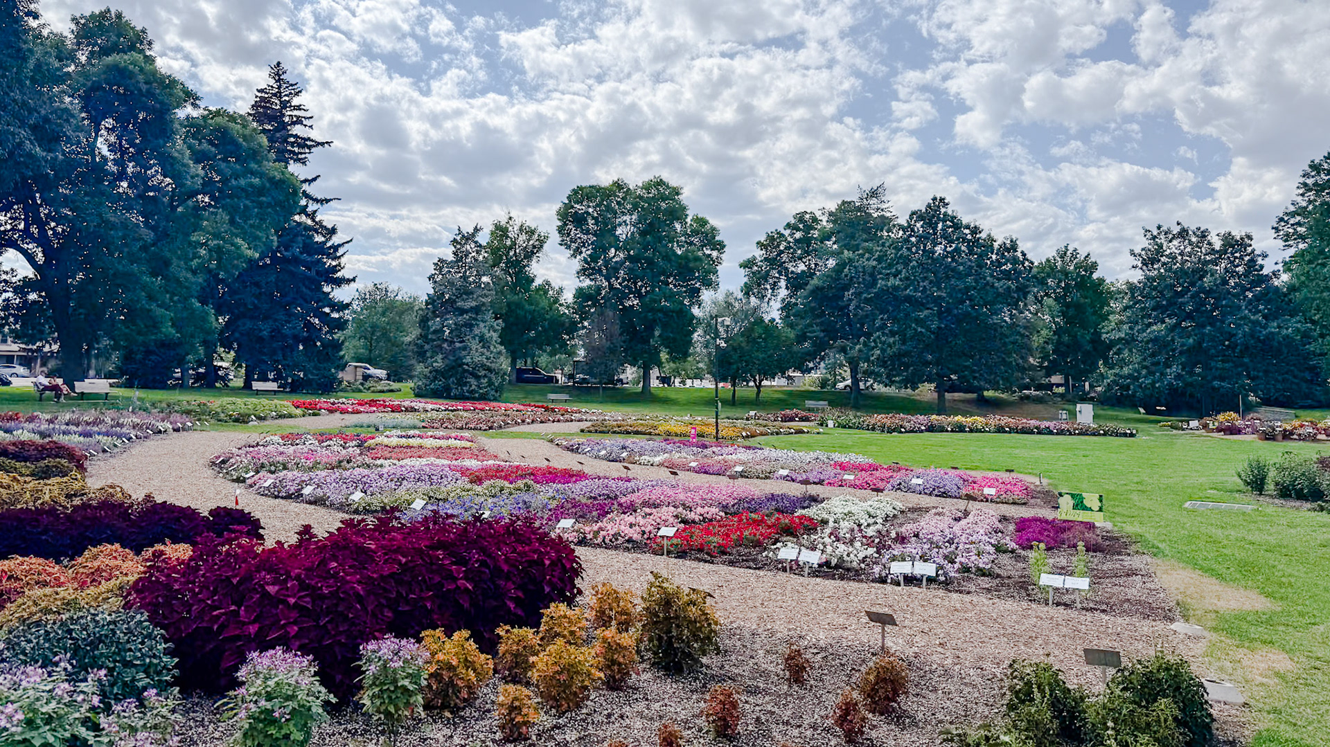 CSU Flower Trial Gardens