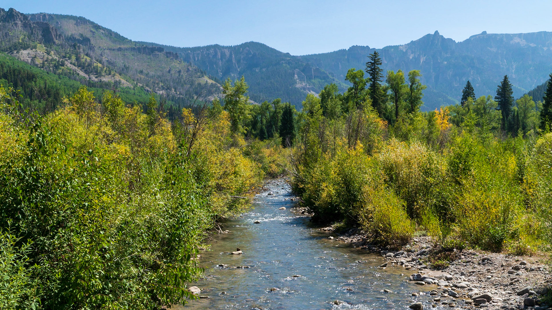 The Middle Fork Cimmarron River flows to the Silver Jack Reservoir