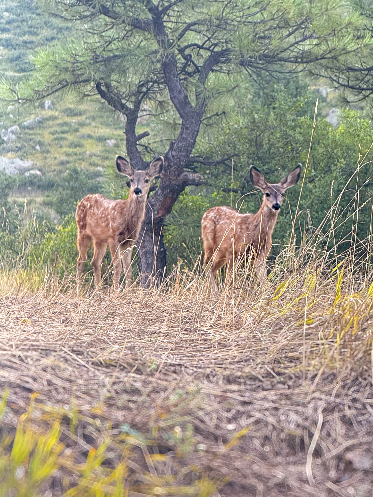 Along our morning walk