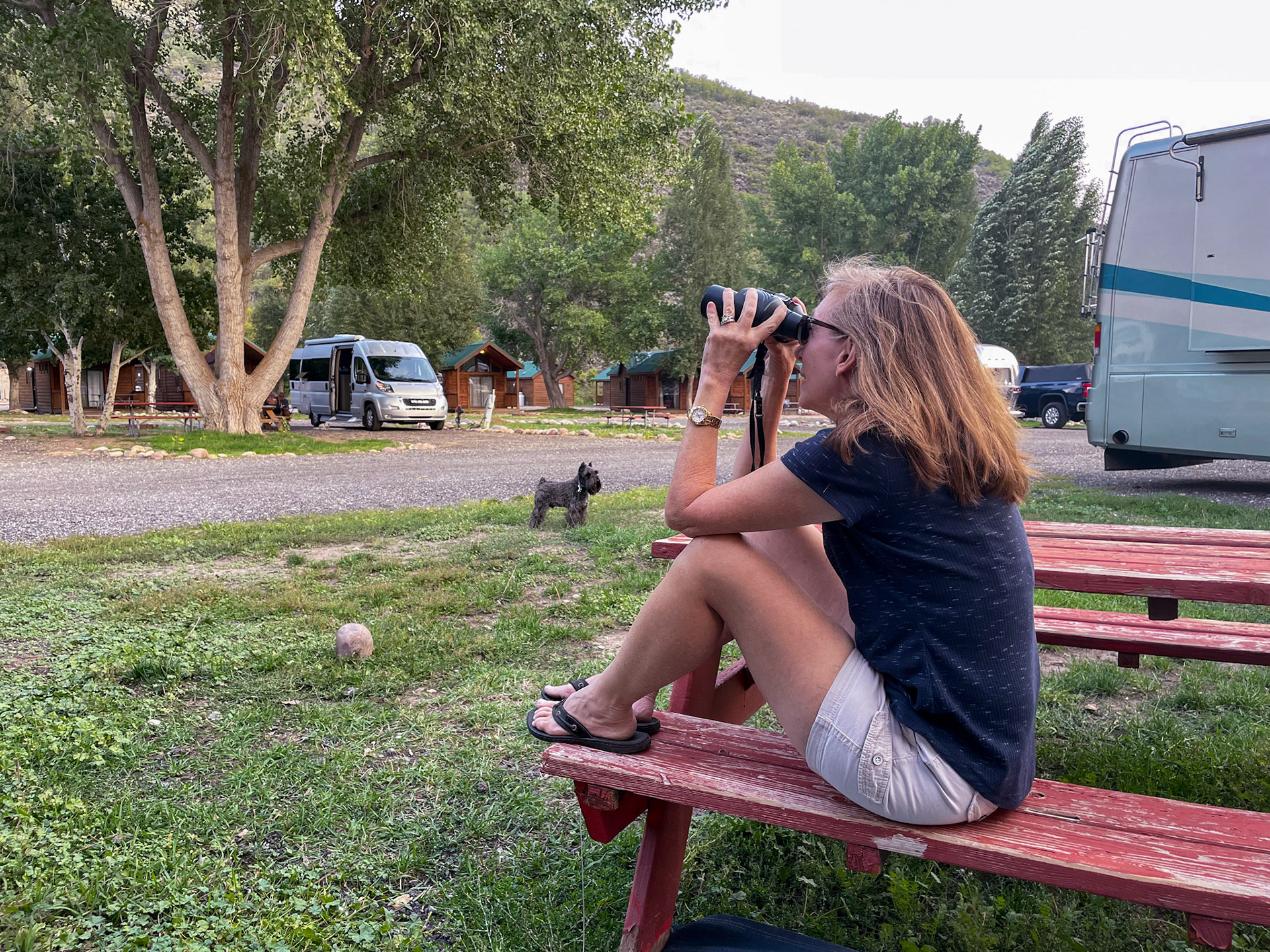 Looking for wildlife in the surrounding mountains