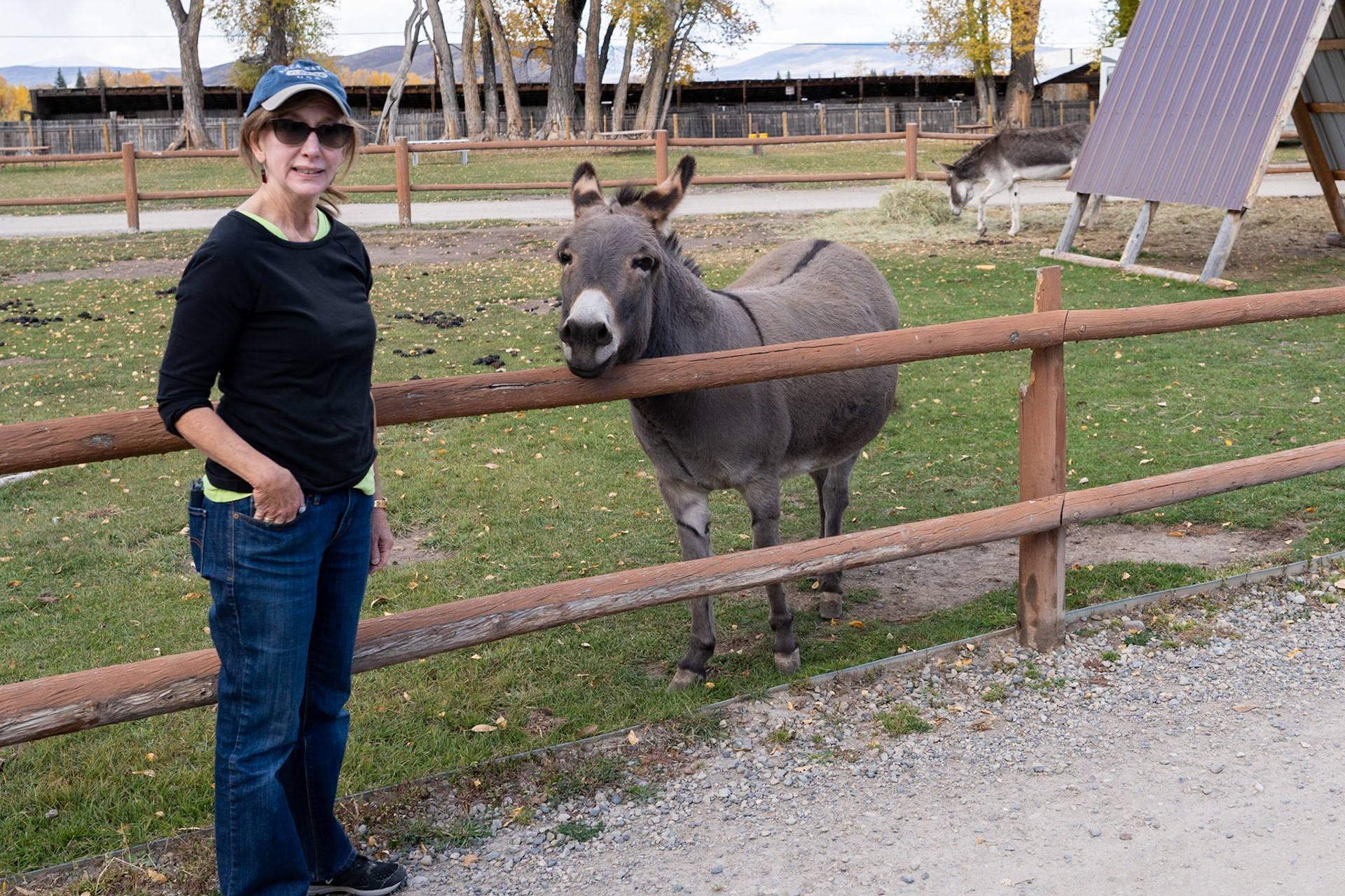 Terry meets the donkey