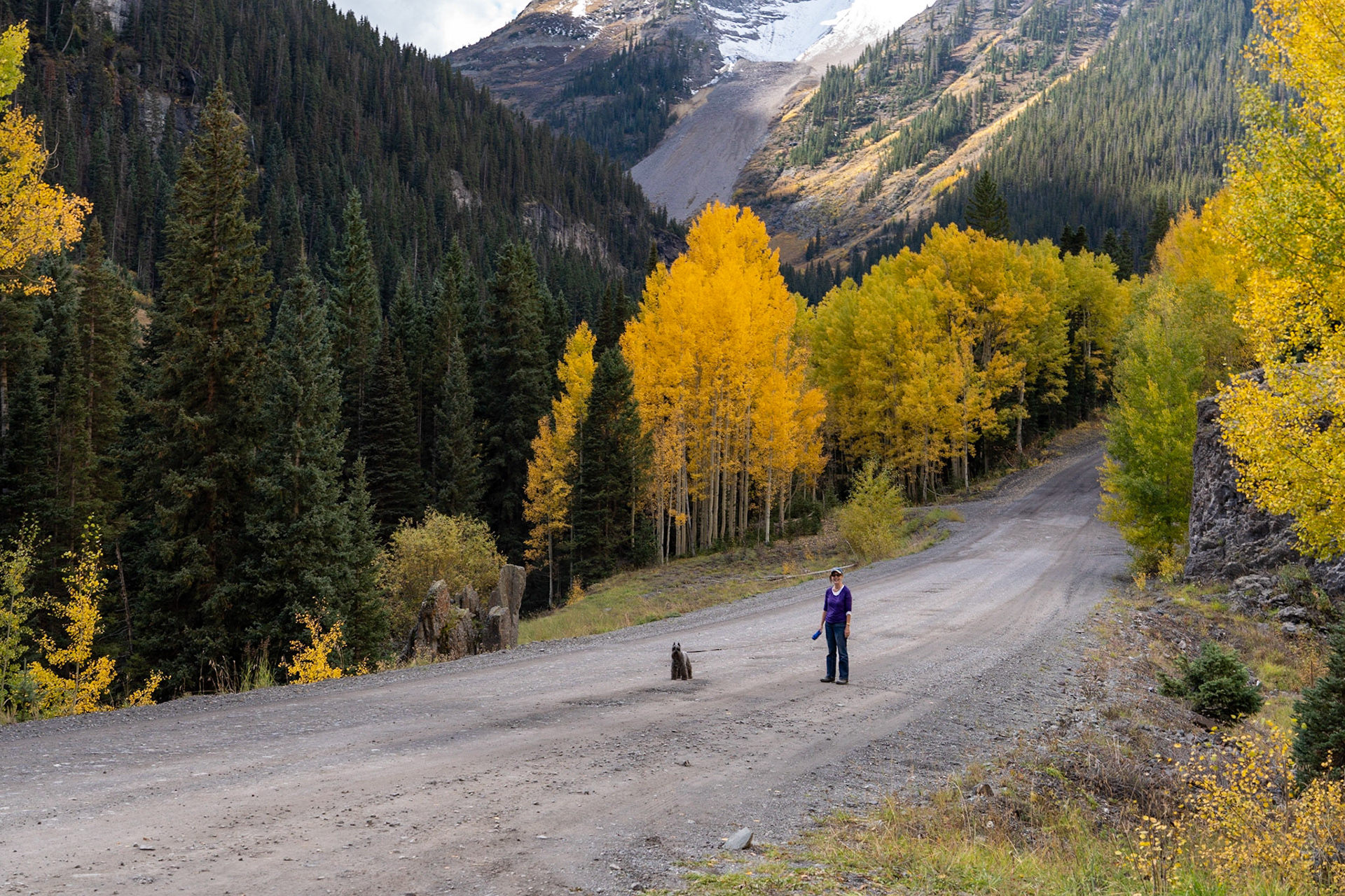 Stretching our legs in the Alpine forest