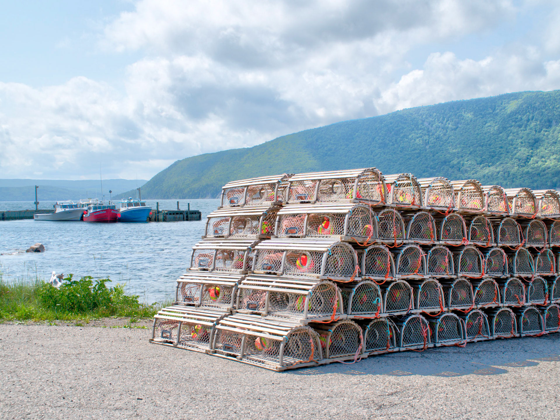 Lobster traps in Englishtown