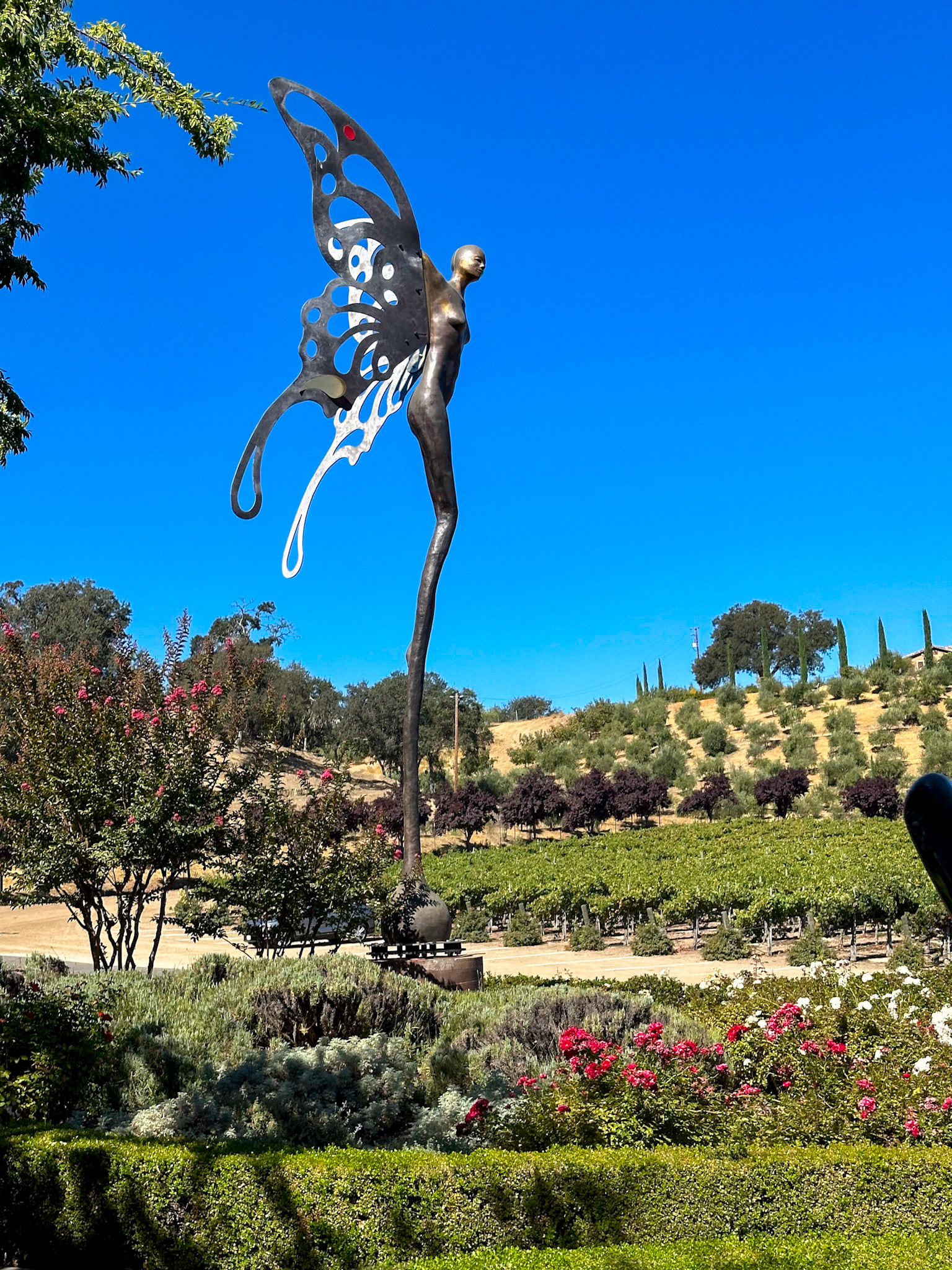 Sculpterra winery