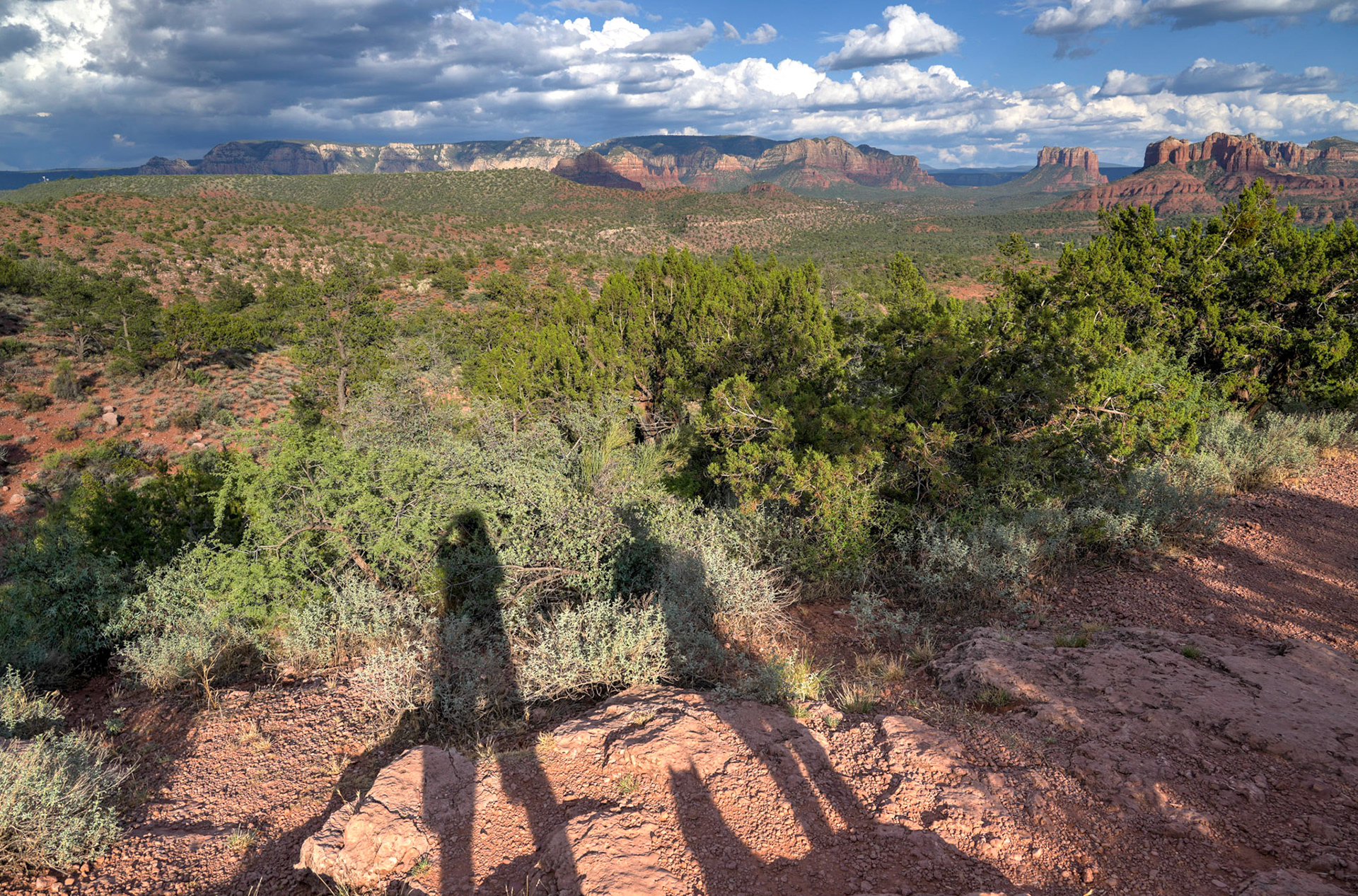 3 shadows at the Cathedral Rock pullout