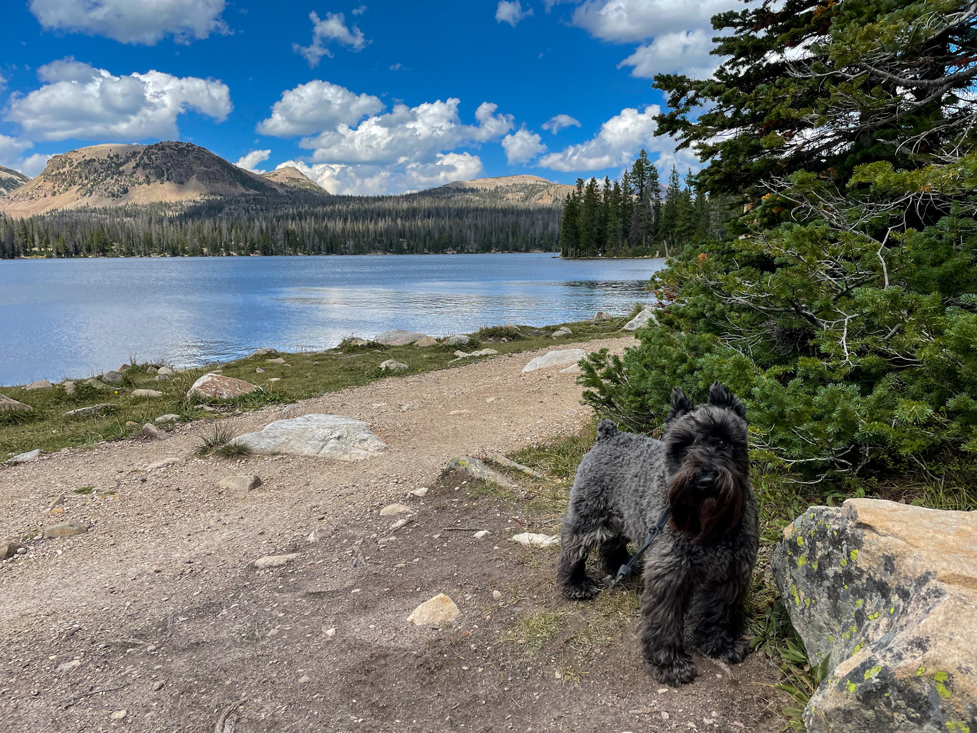 Mirror Lake