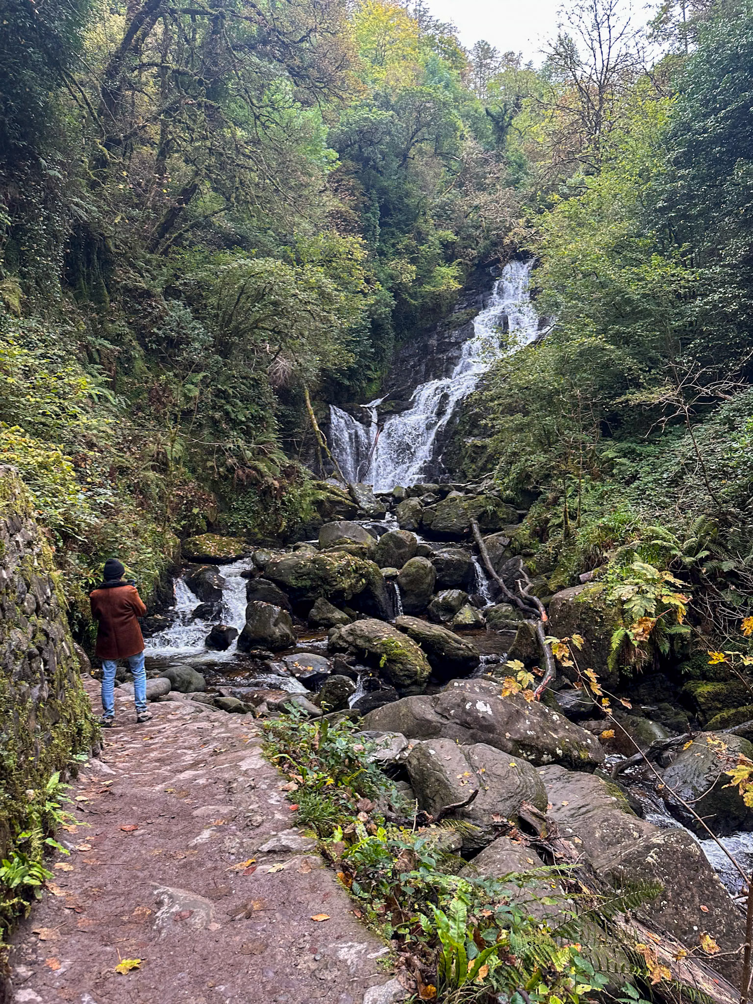 Torc Waterfall in the NP
