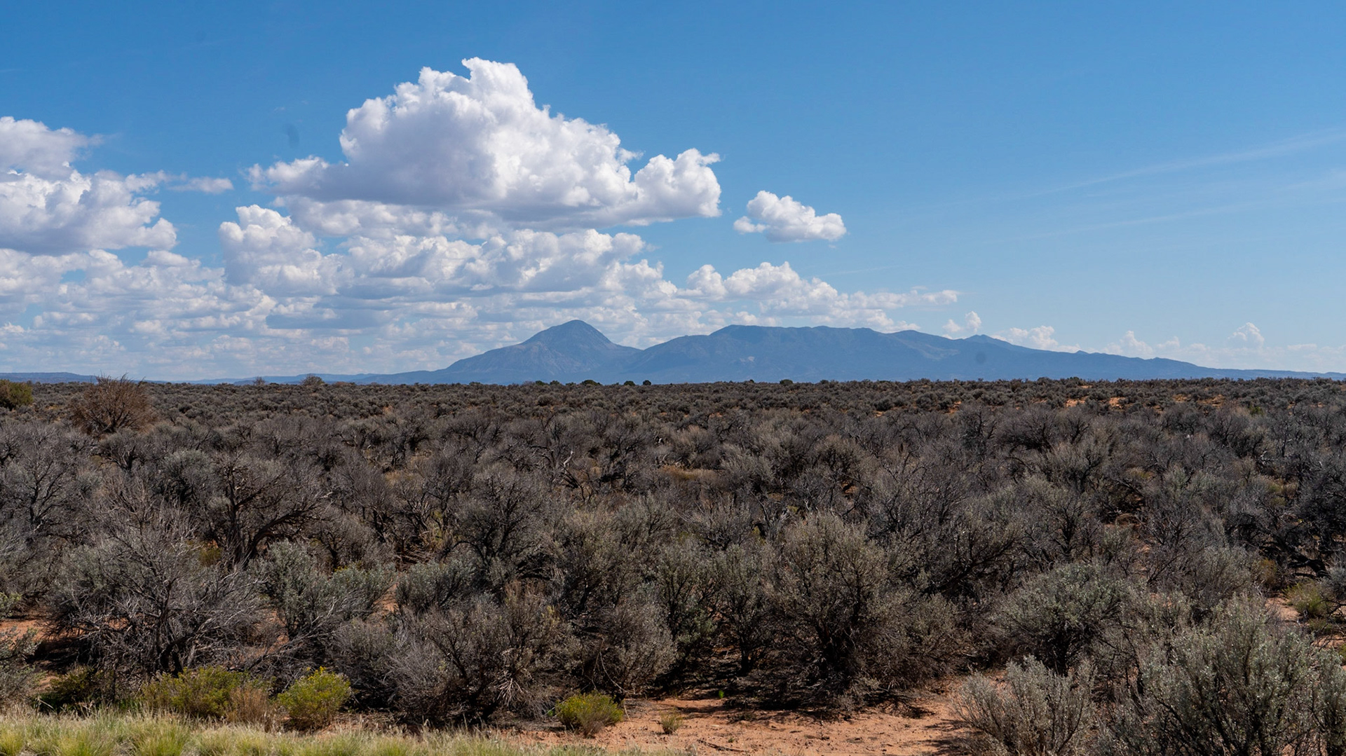 Nothing but desert along the road to Hovenweep