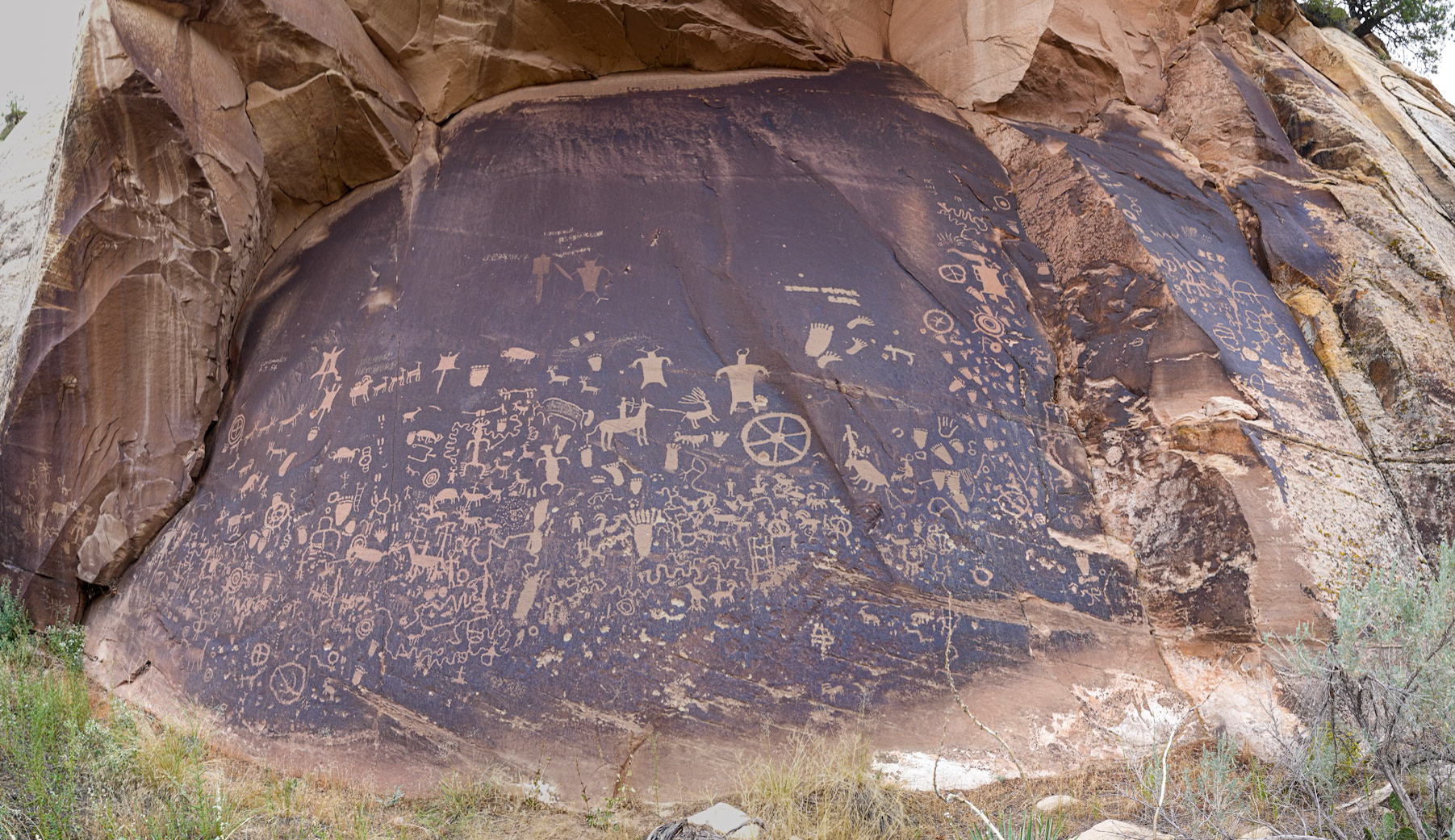 Newspaper Rock petroglyphs