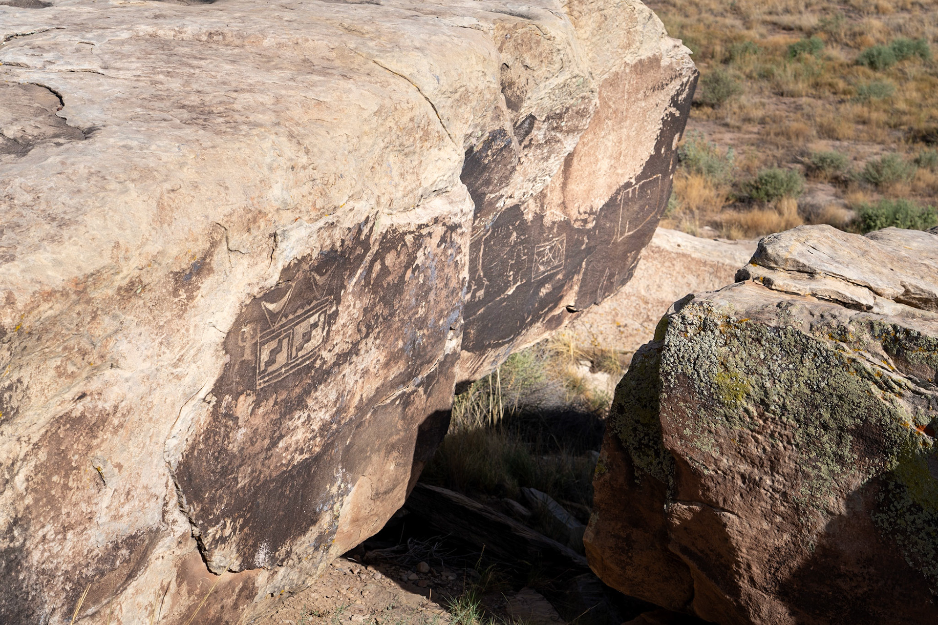 Petrogylphs in the Petrified National Park