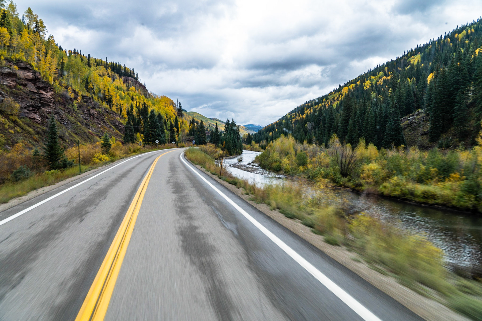 Leaves are changing along the drive to Ridgway