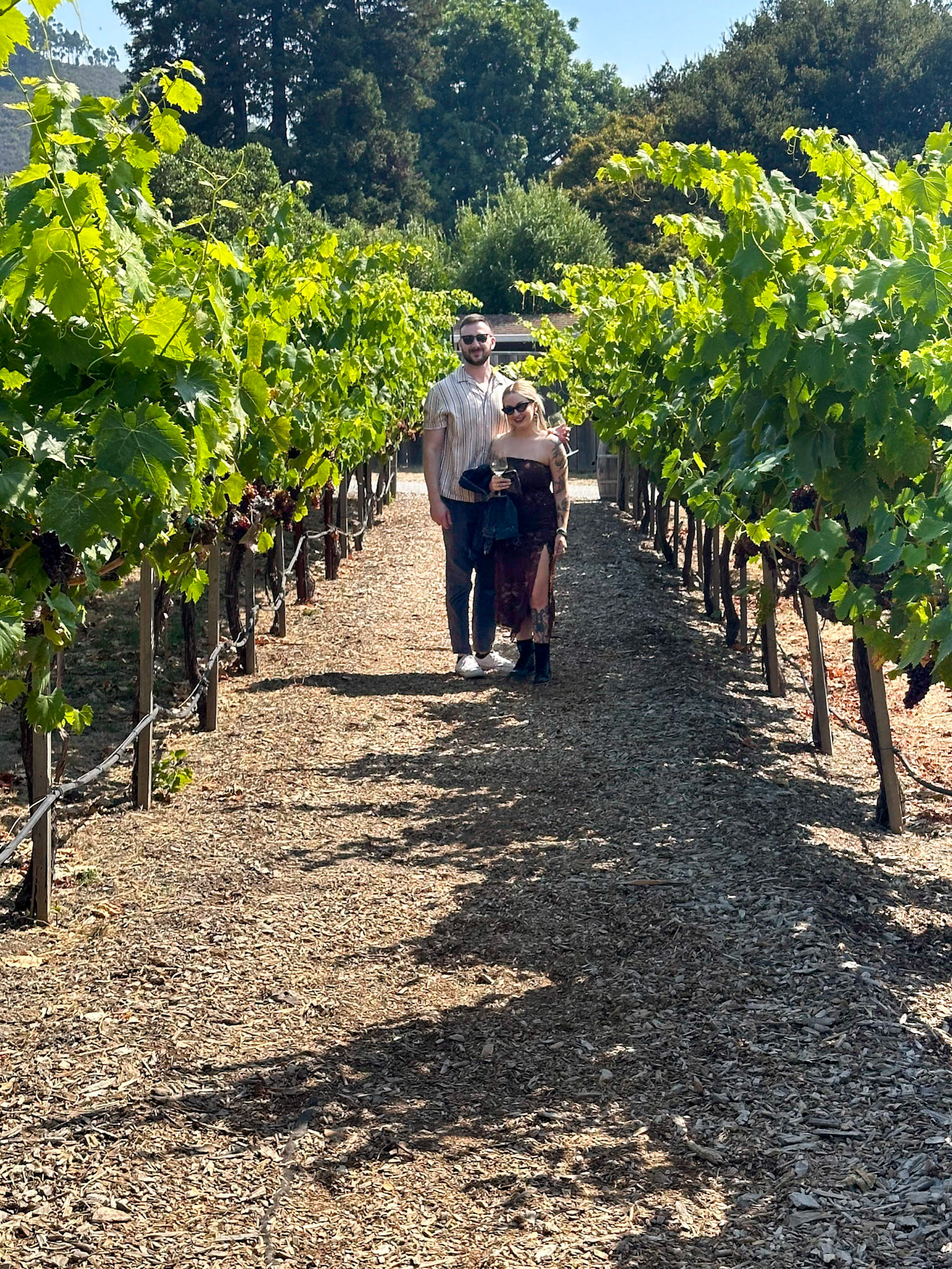 Vineyards at Folktale Winery