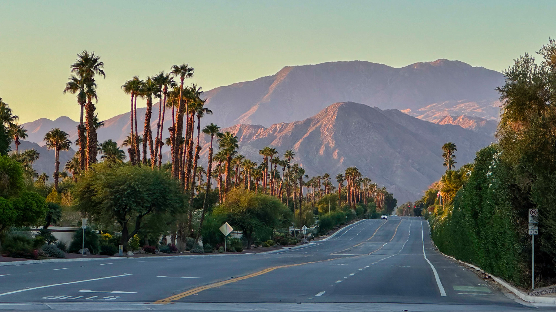 Morning in Palm Desert