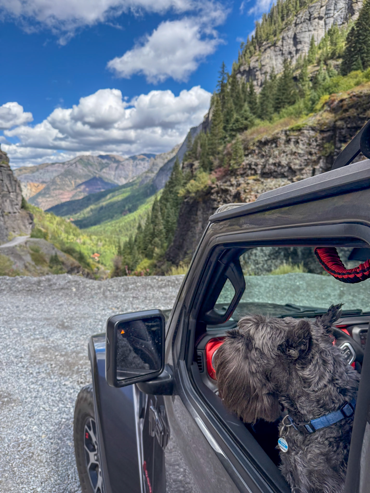 Tripp enjoys the view