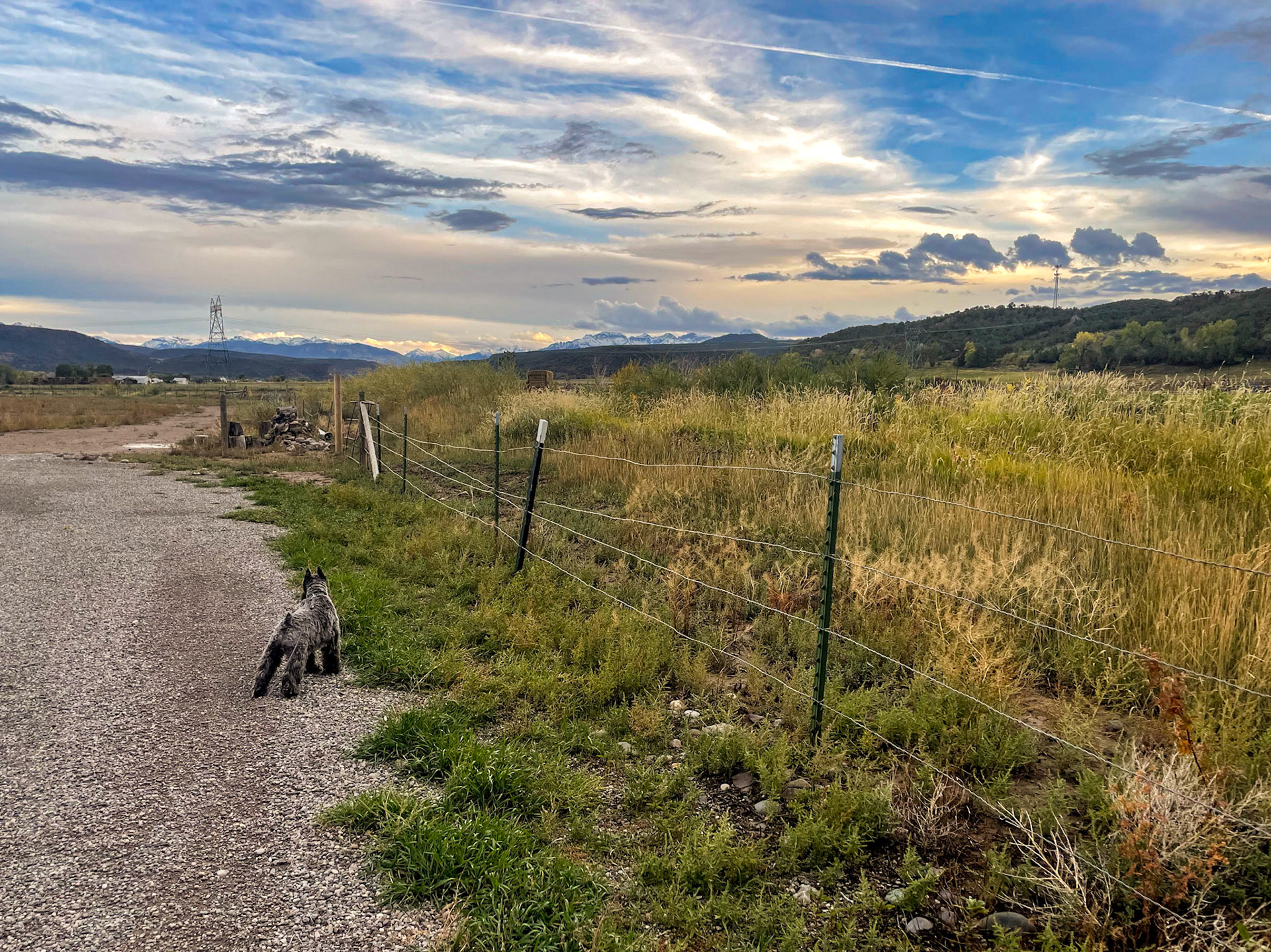 Tripp's evening walk