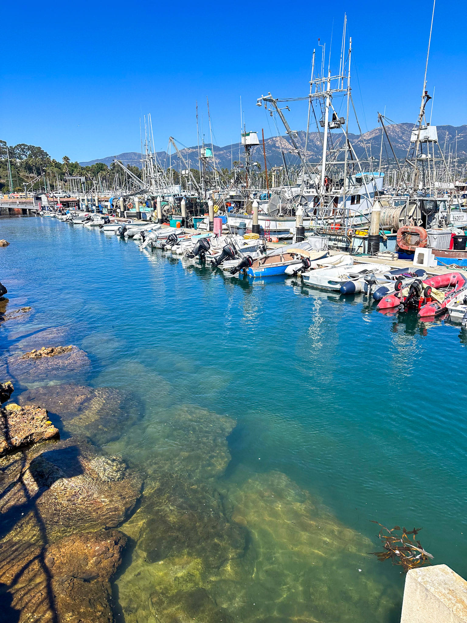 Santa Barbara harbor
