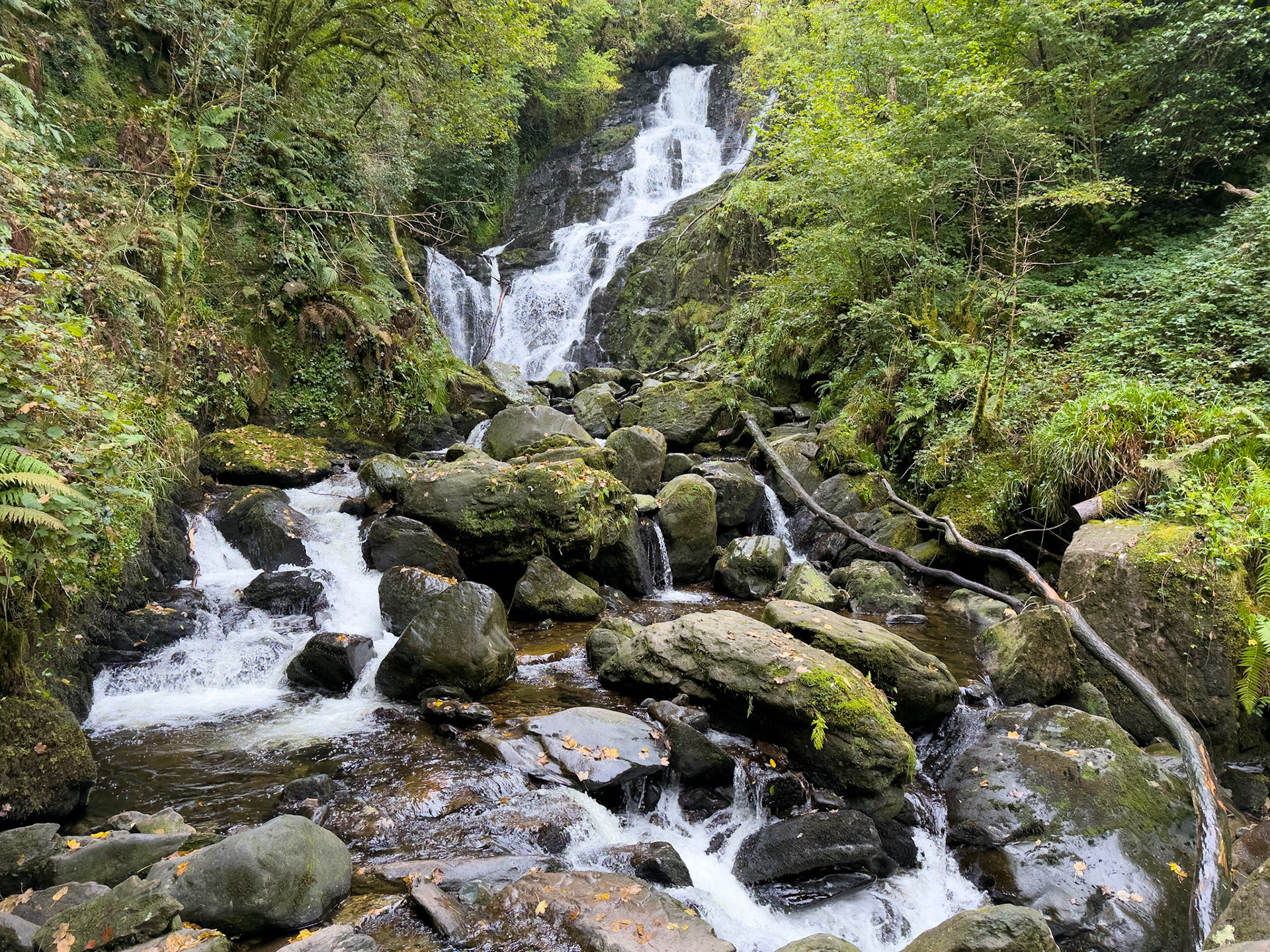 Torc Waterfall in the NP