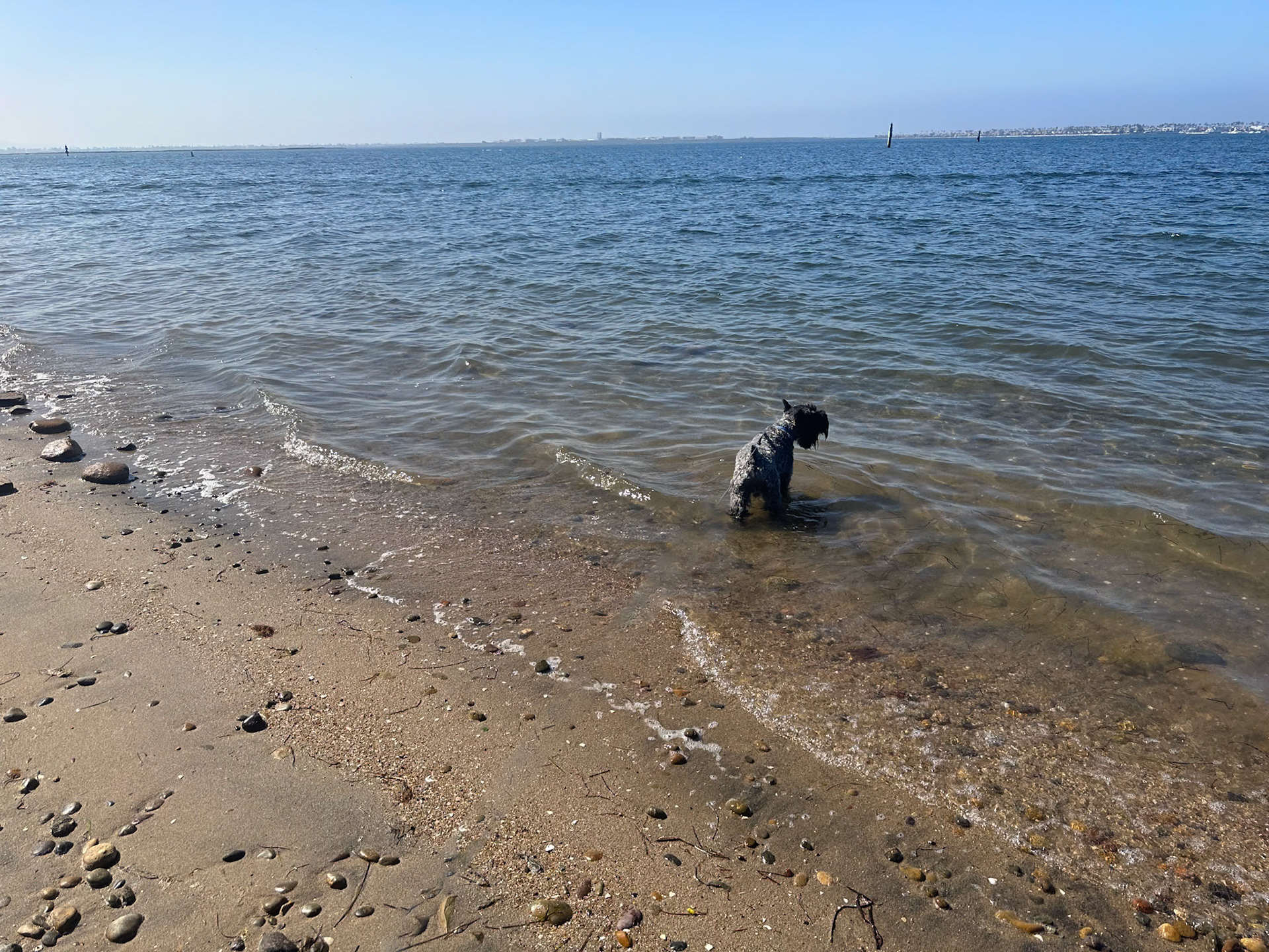 Bayfront Park on San Diego Bay