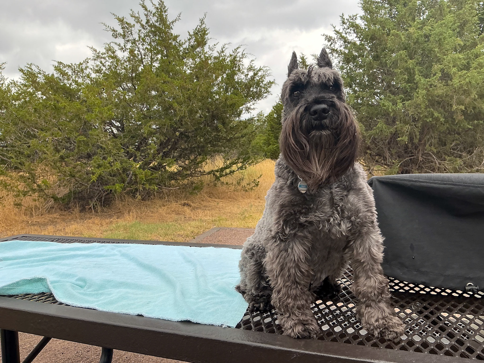 Chatfield State Park