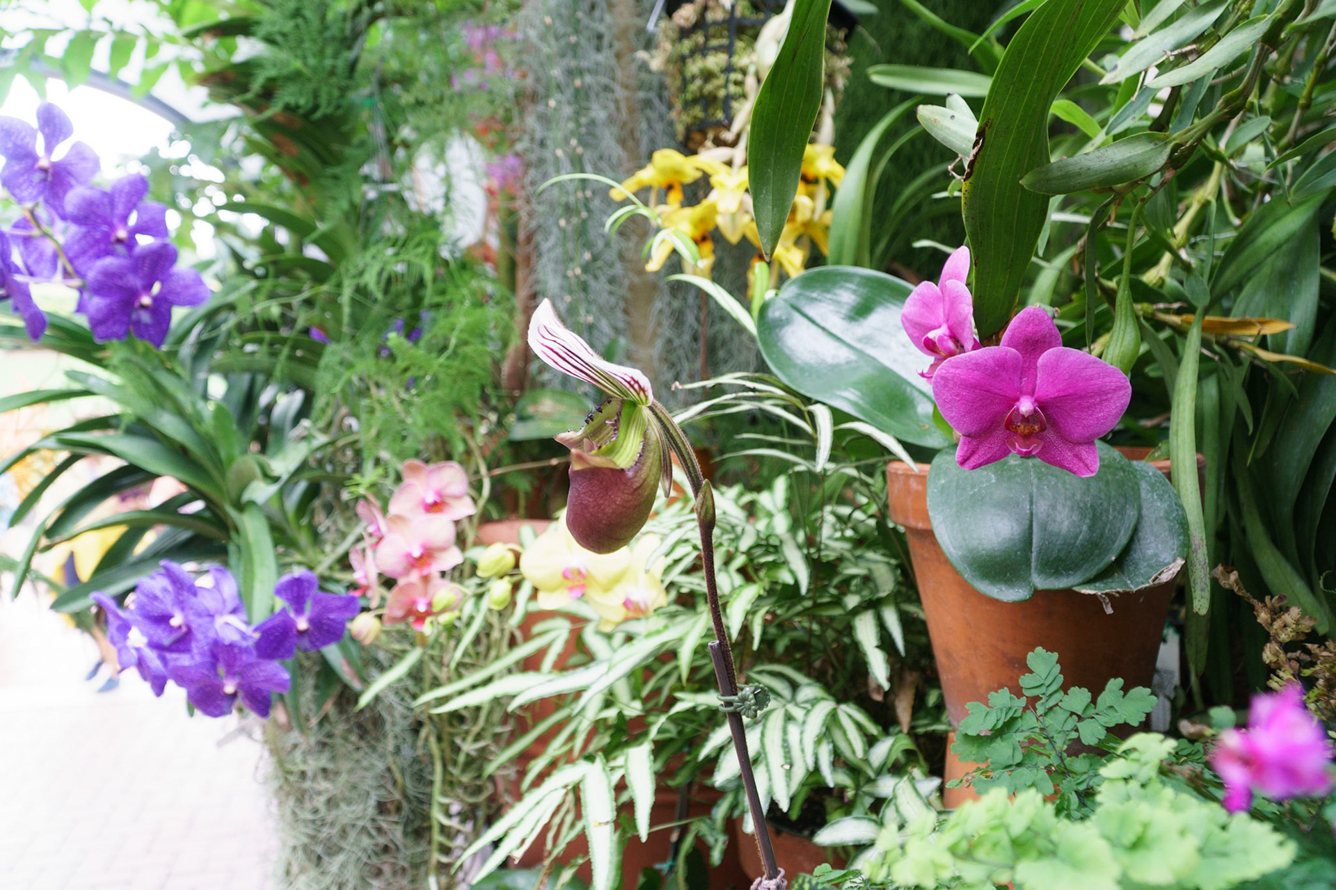 Biltmore Garden, Ashville, NC