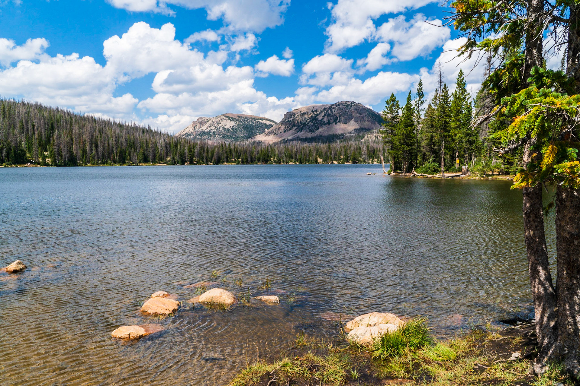 Mirror Lake on a windy day