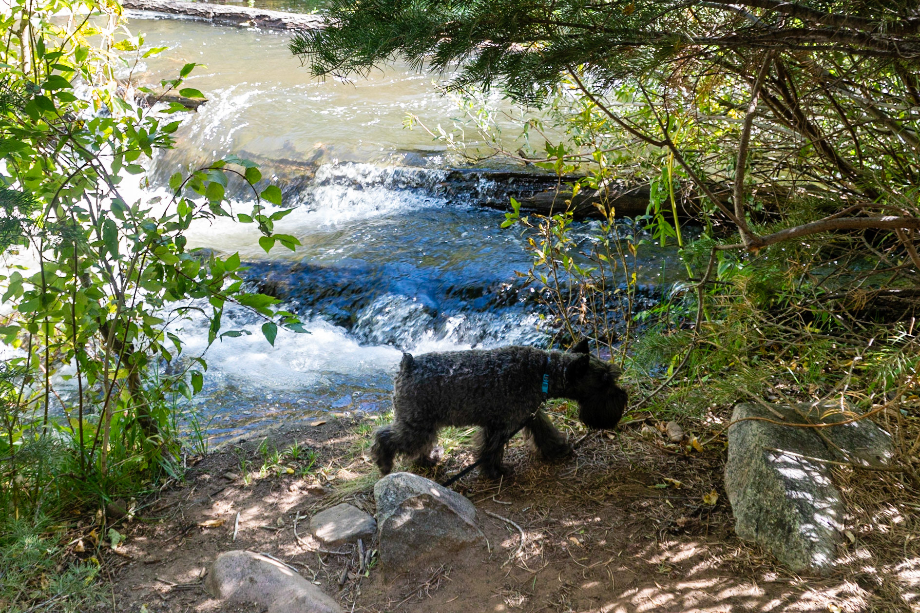 Tripp exploring the Cimarron River