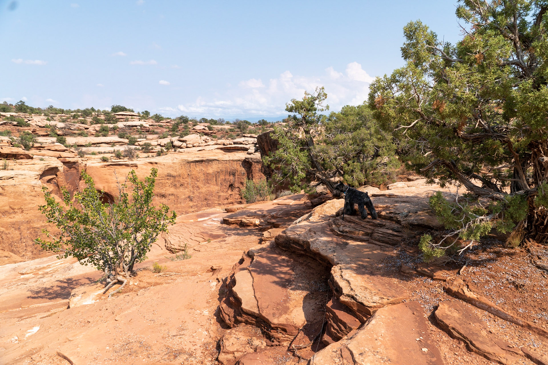 Tripp is looking into the deep hole -- from afar