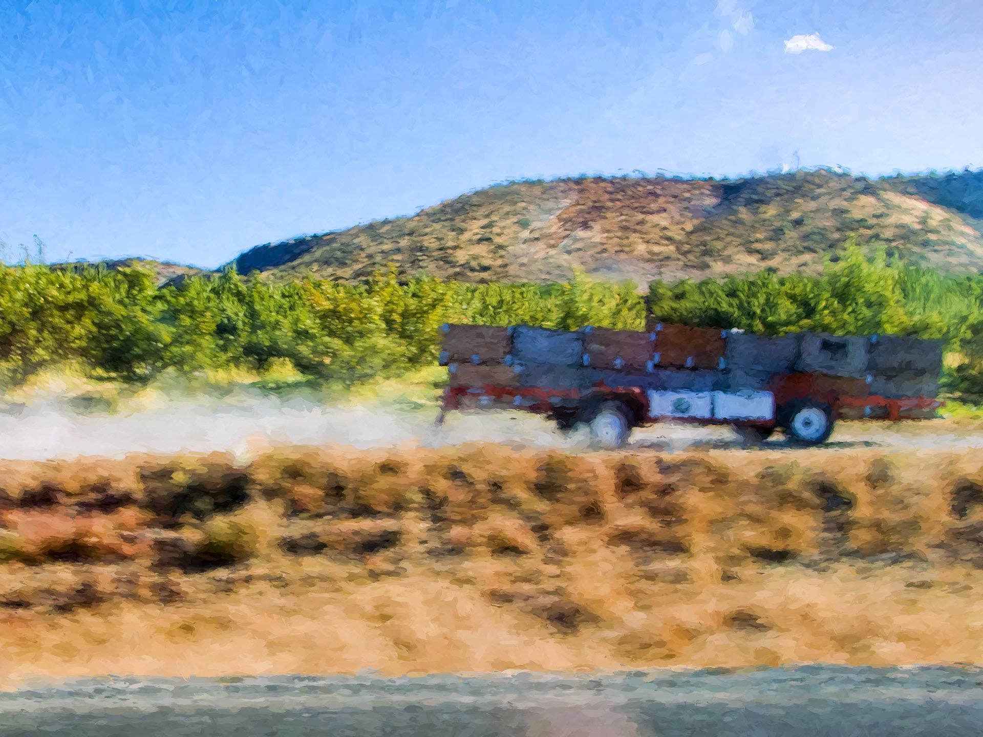Apple cart Washington State