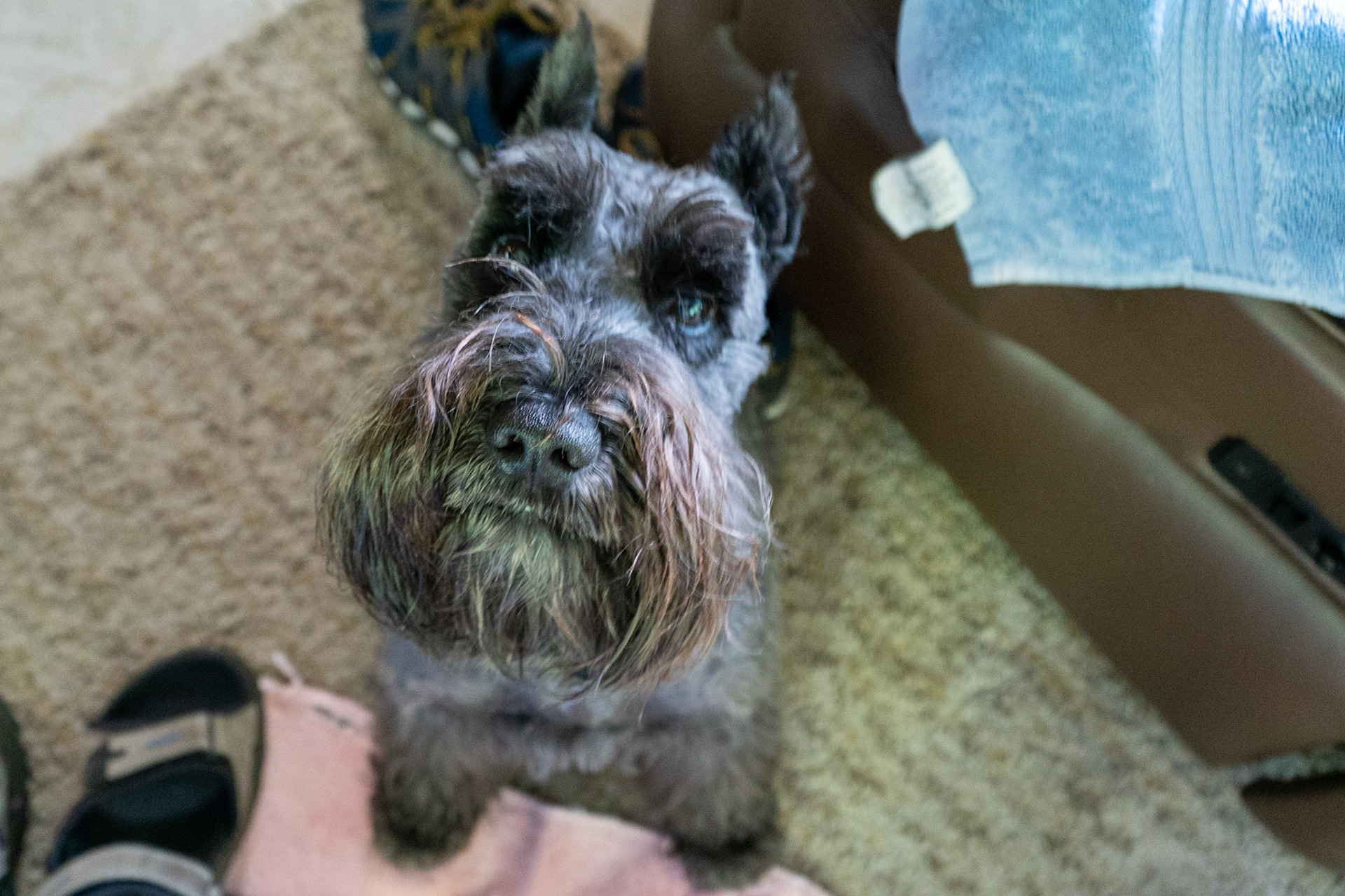 Pleease Dont Leave Me