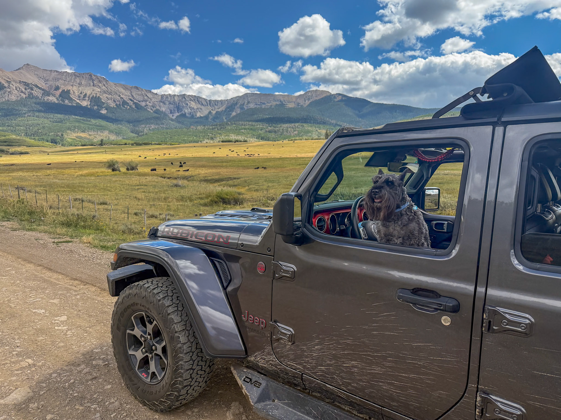 Tripp waiting while we admire the view on Last Dollar Road