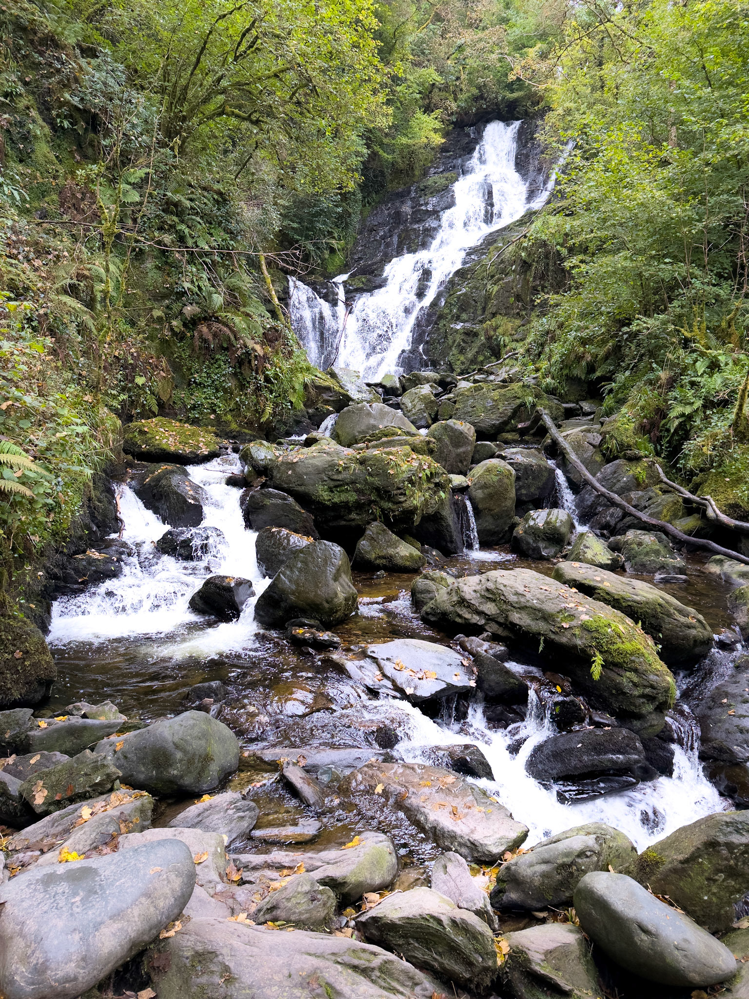 Torc Waterfall in the NP