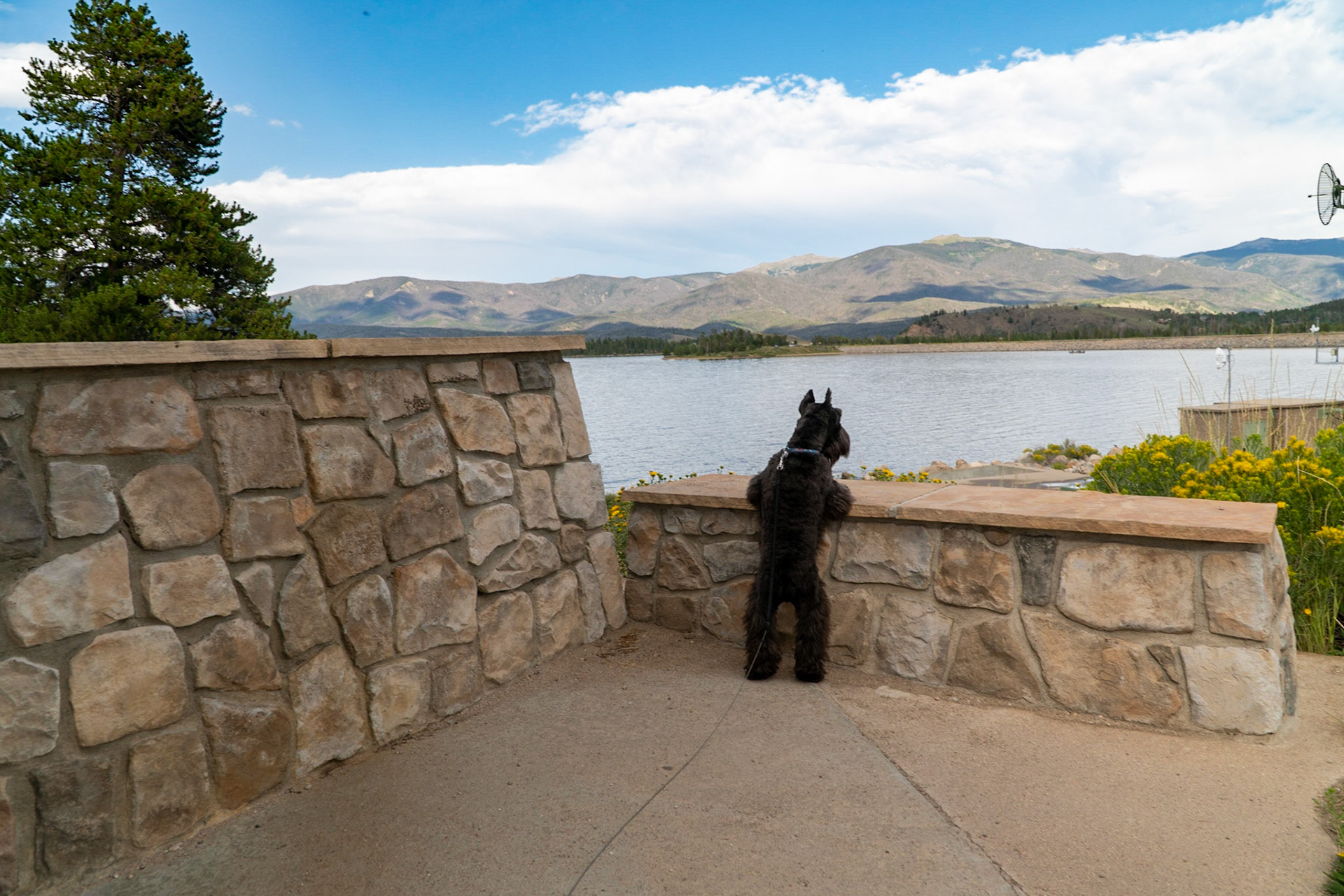 Tripp is an inquisitive tourist
