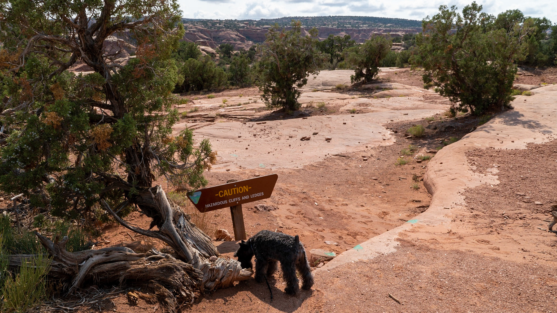 Tripp doesn't bother to read the signs