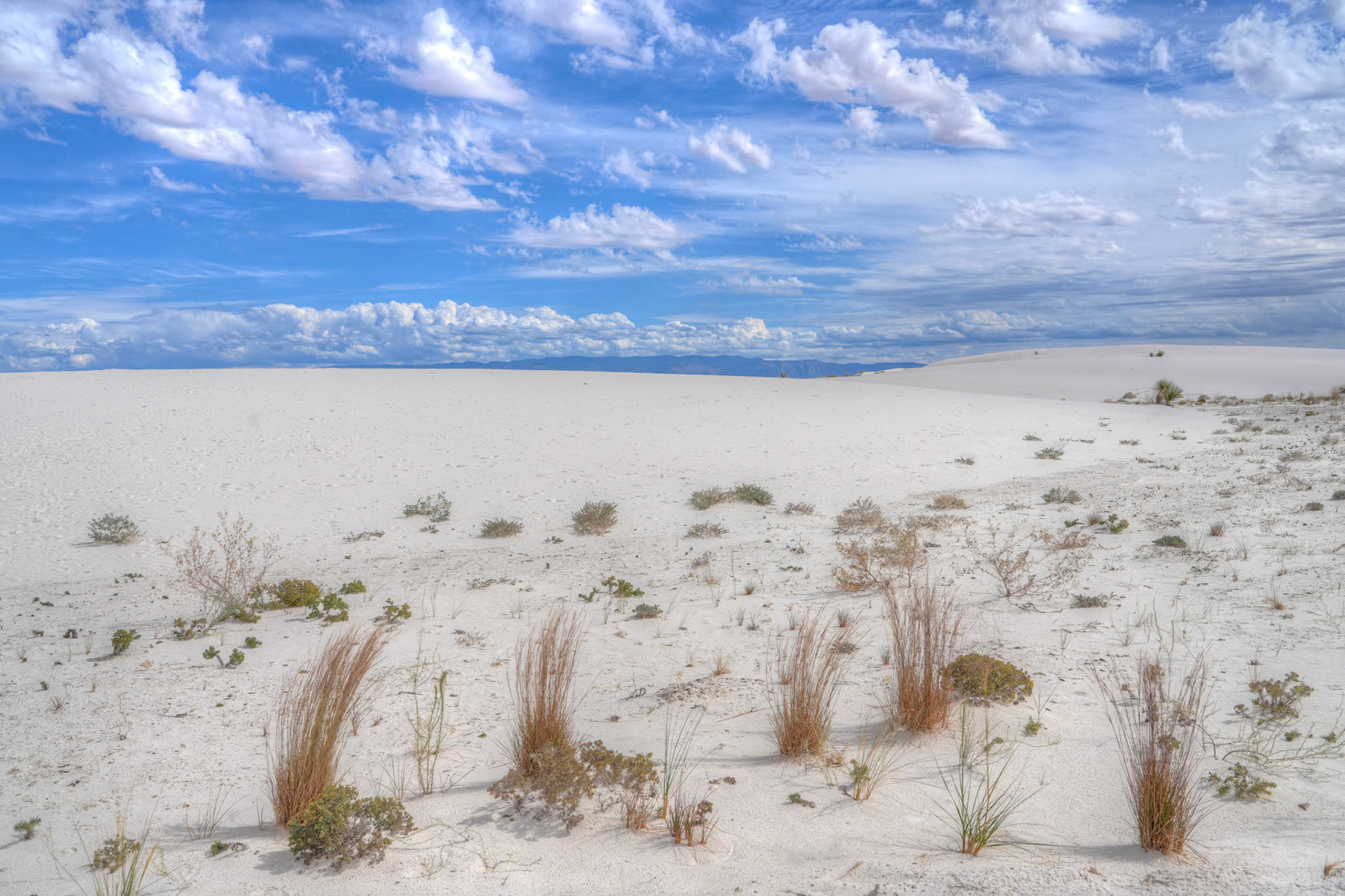 White Sands NP