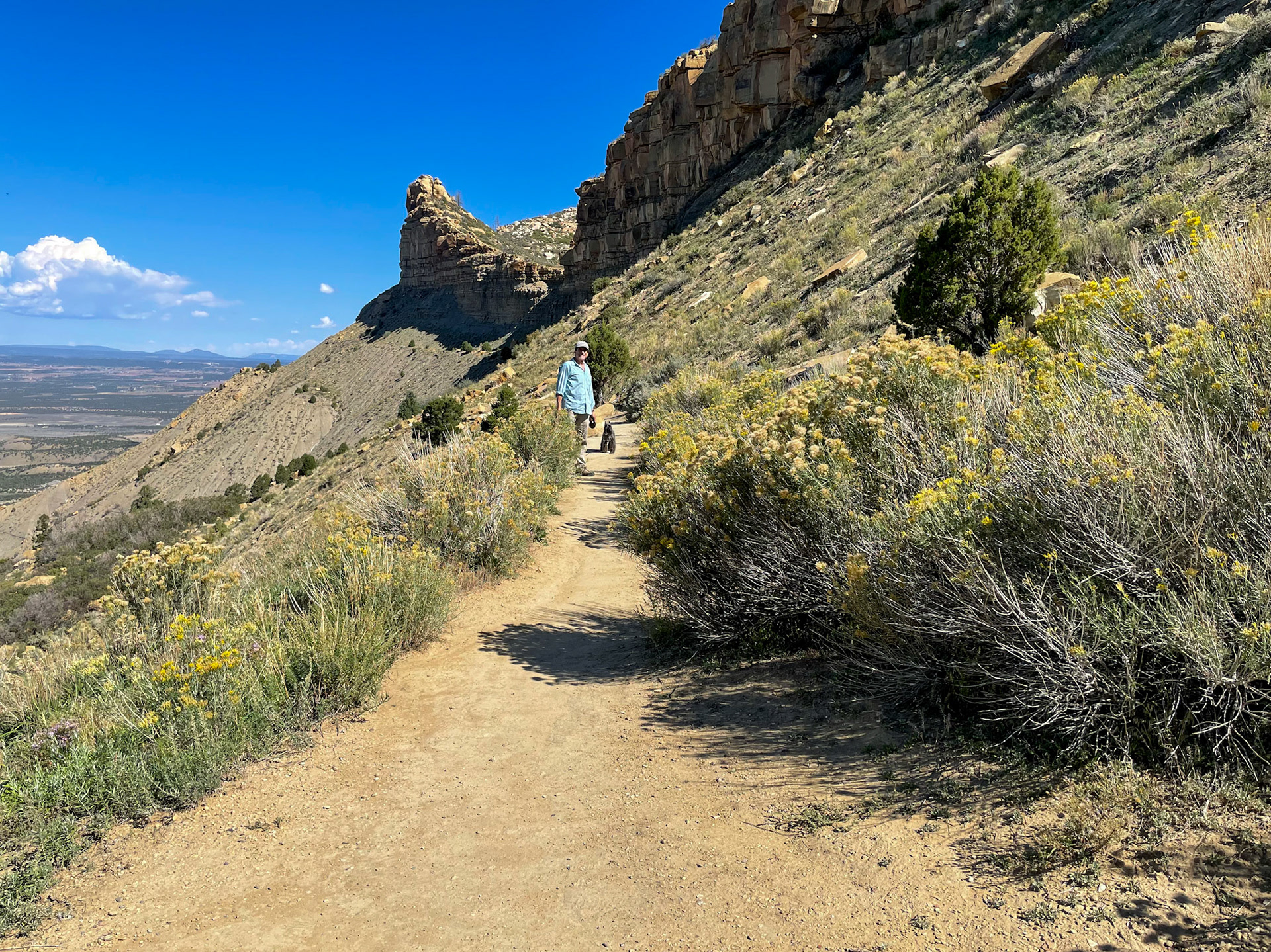 Trail at the overlook