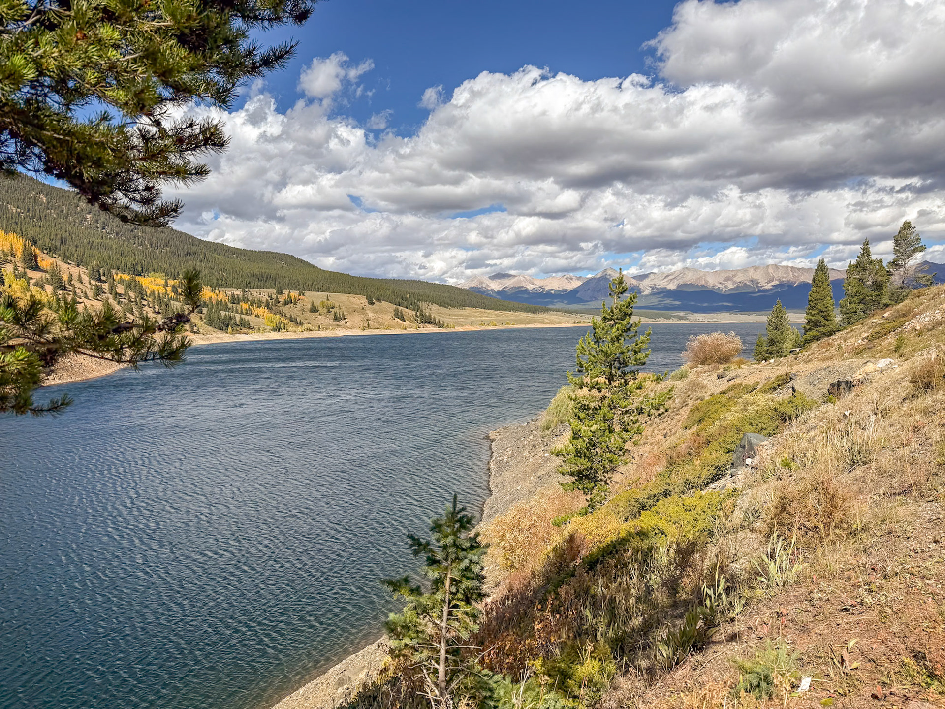 Along the Taylor River near Gunnison
