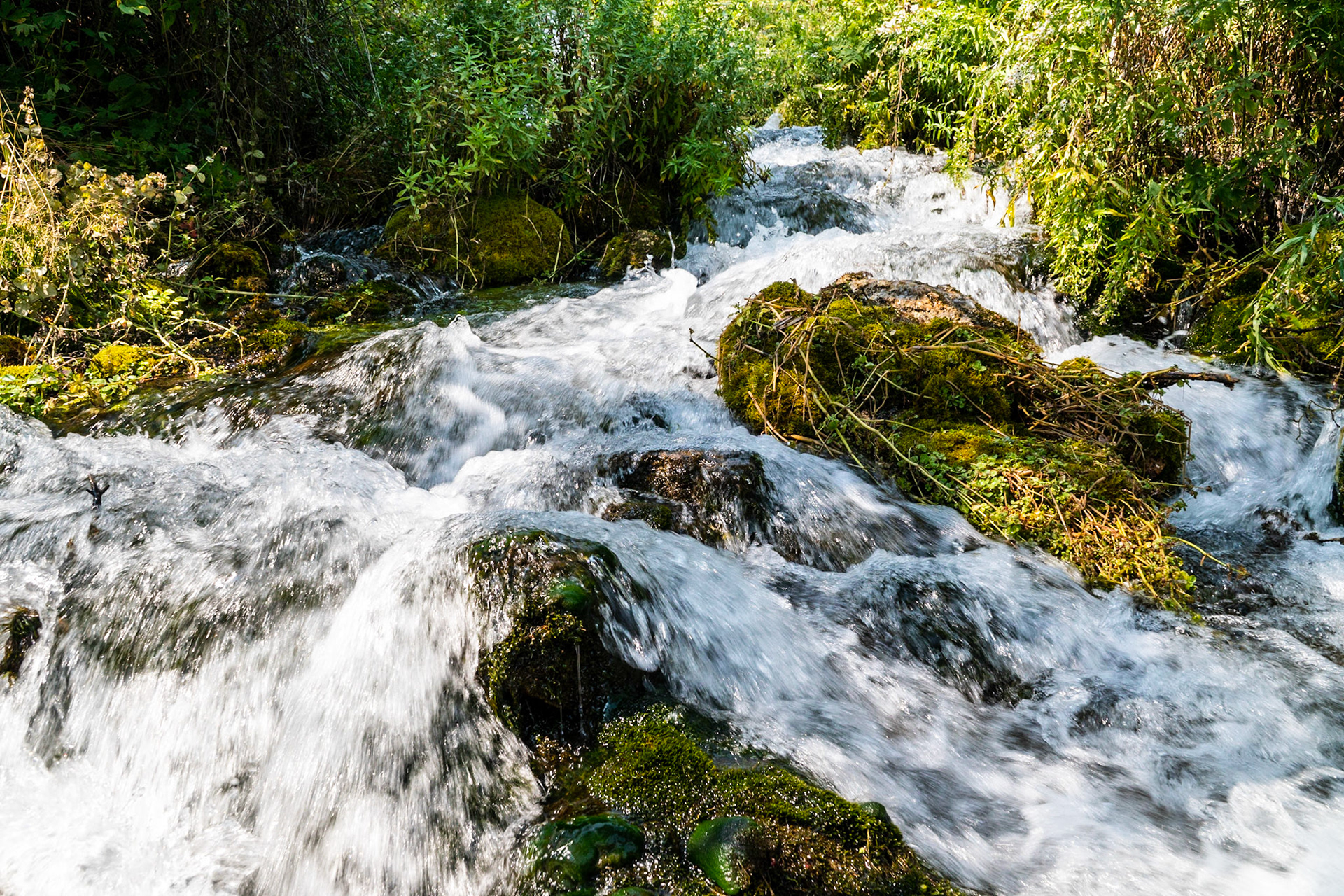 Cascade Springs feed the river