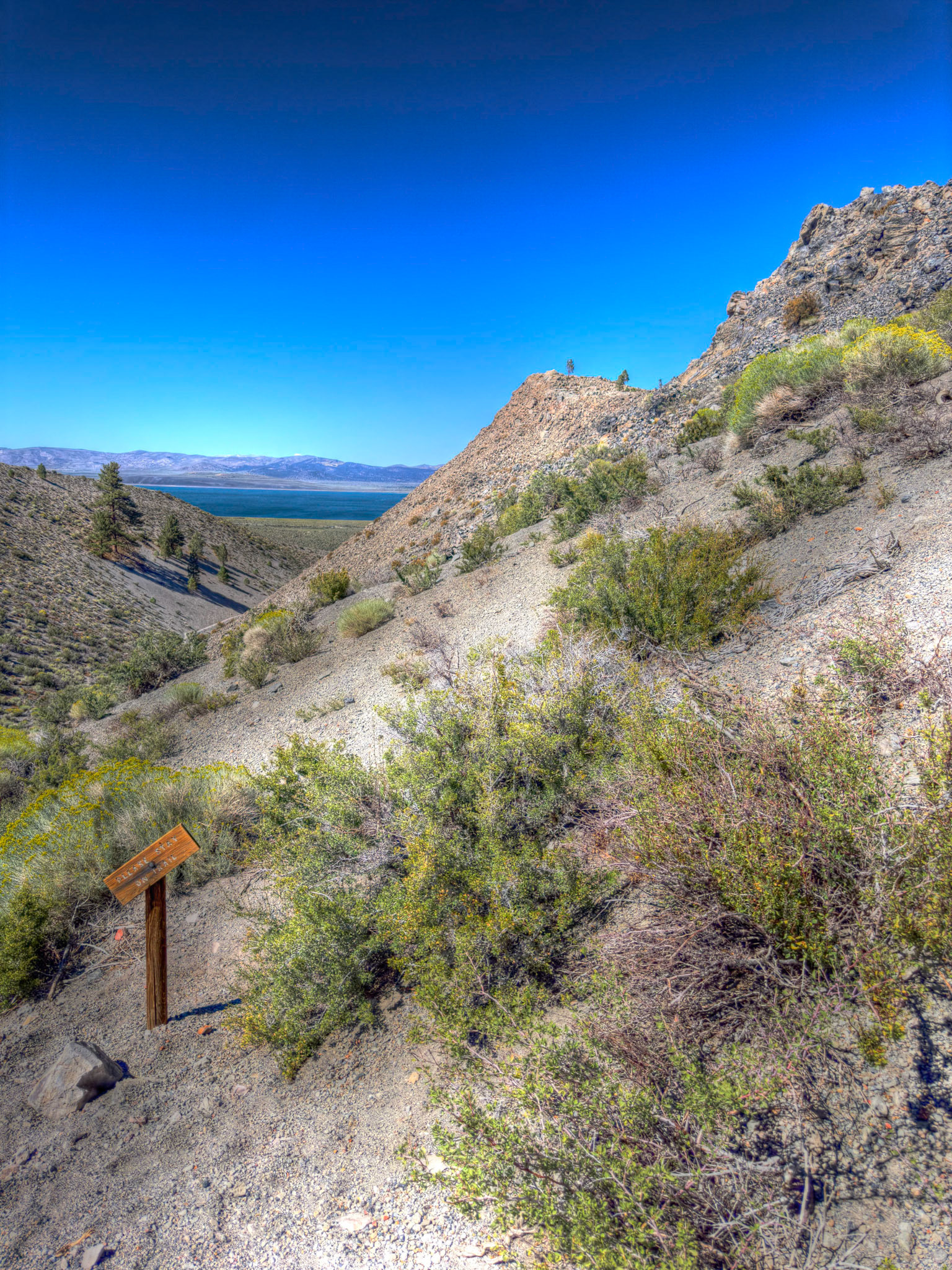 The trail to the top was a challenging hike