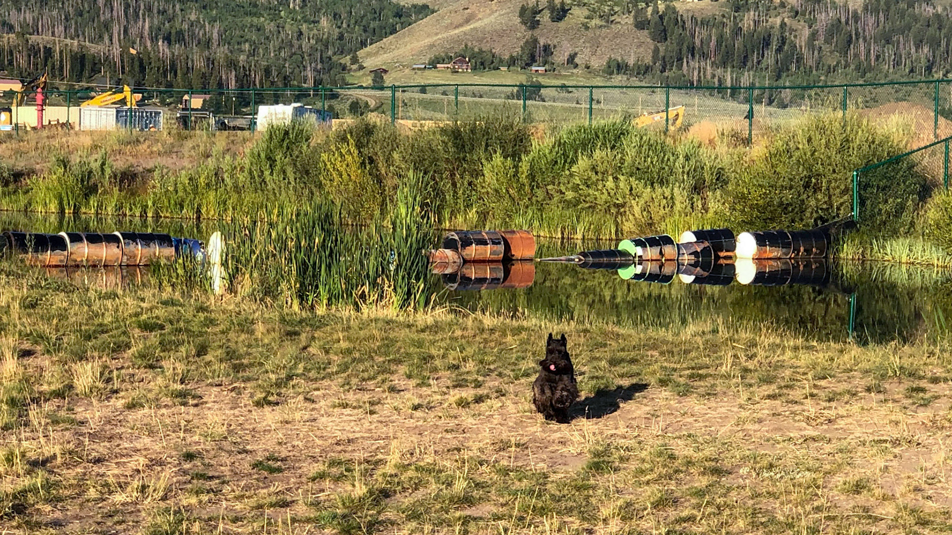 Dog park in Granby, CO