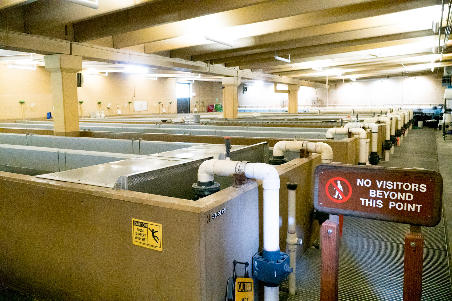 McCall fish hatchery