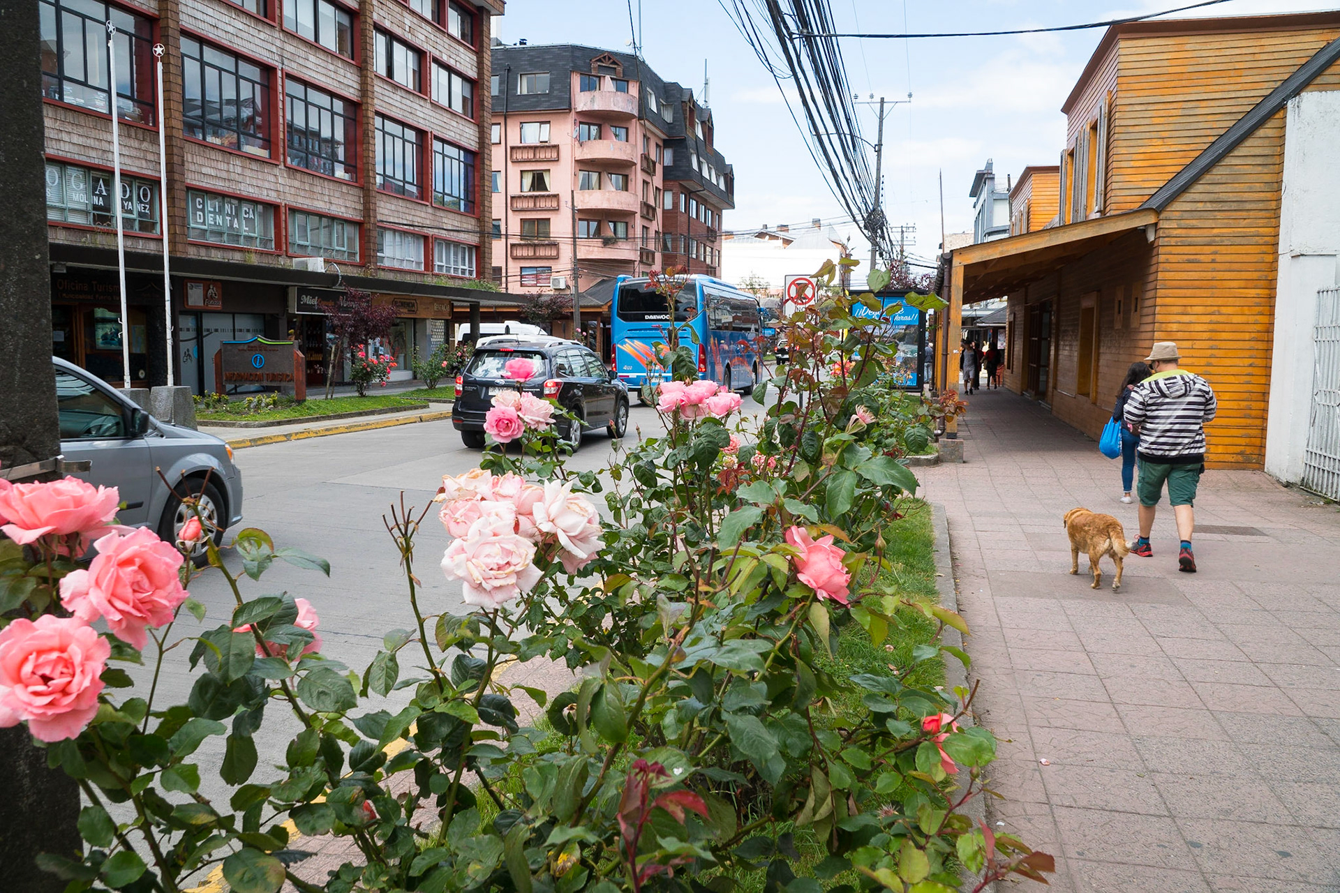 Puerto Varas City of Roses