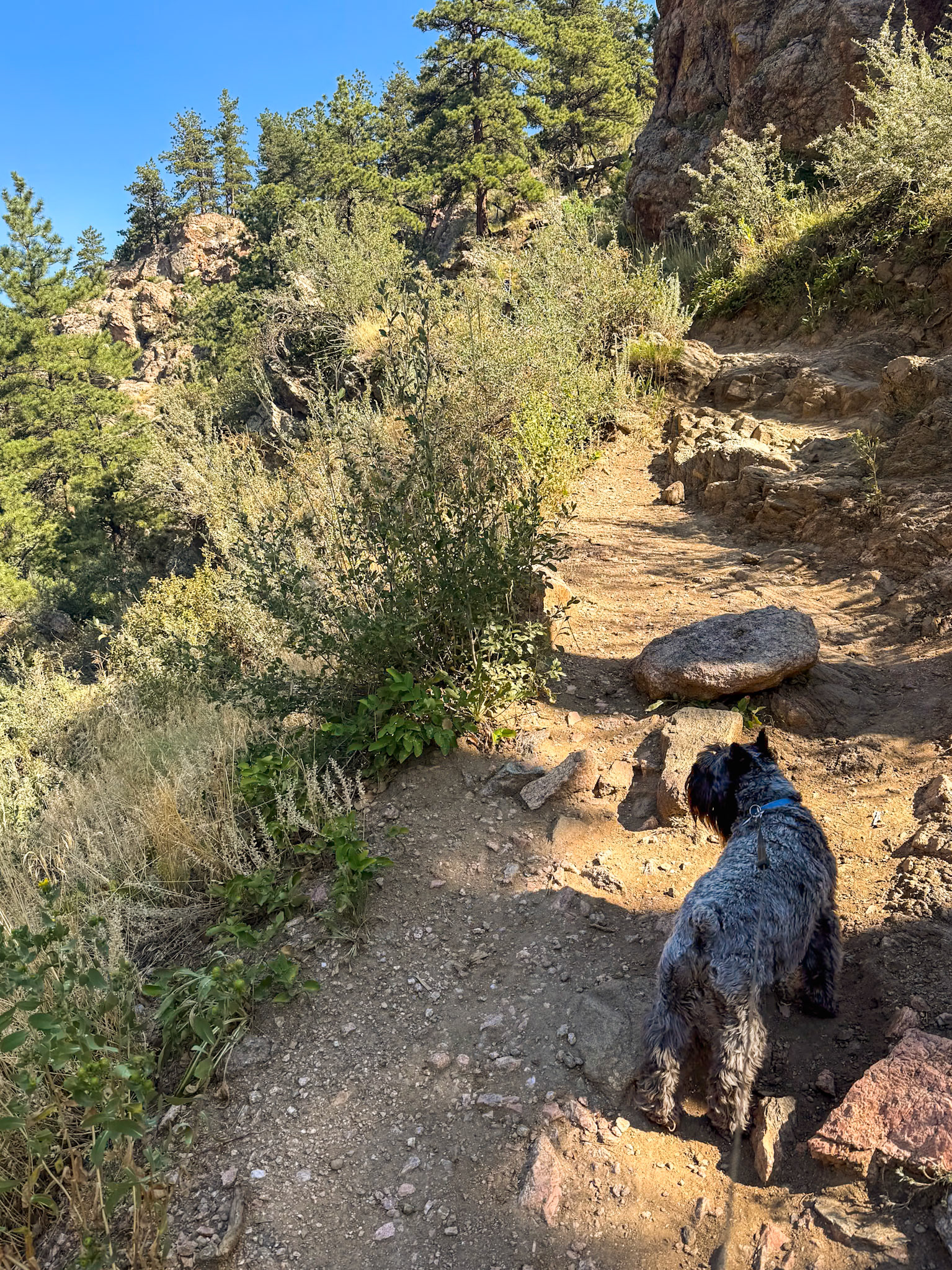 Horsetooth Falls without water