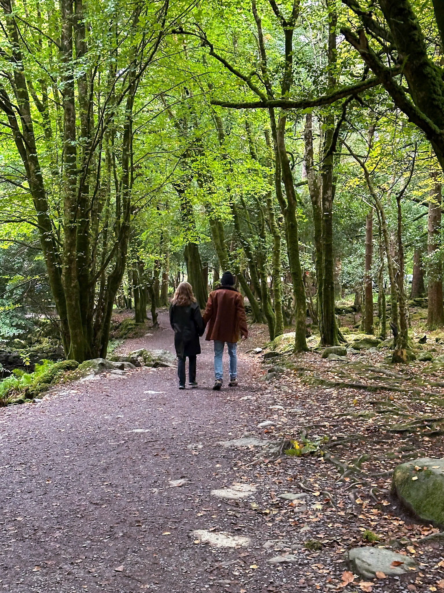 Torc Waterfall along the Ring of Kerry