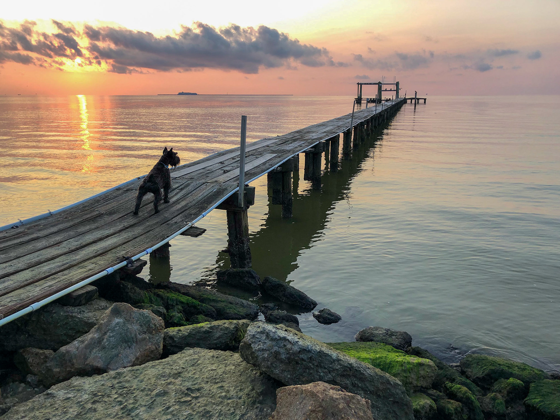 Tripp surveying the sunrise