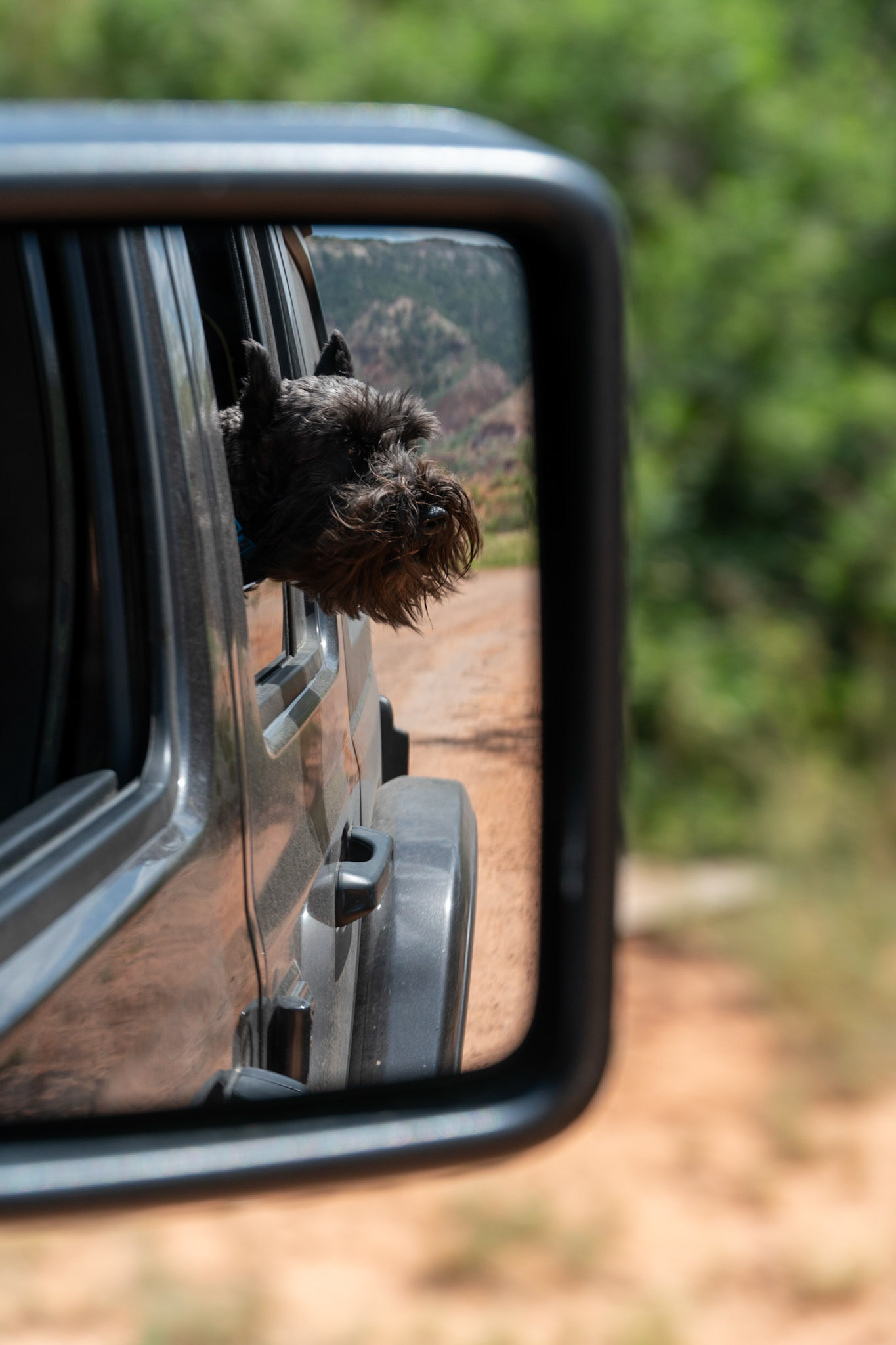 Tripp enjoying Palo Duro